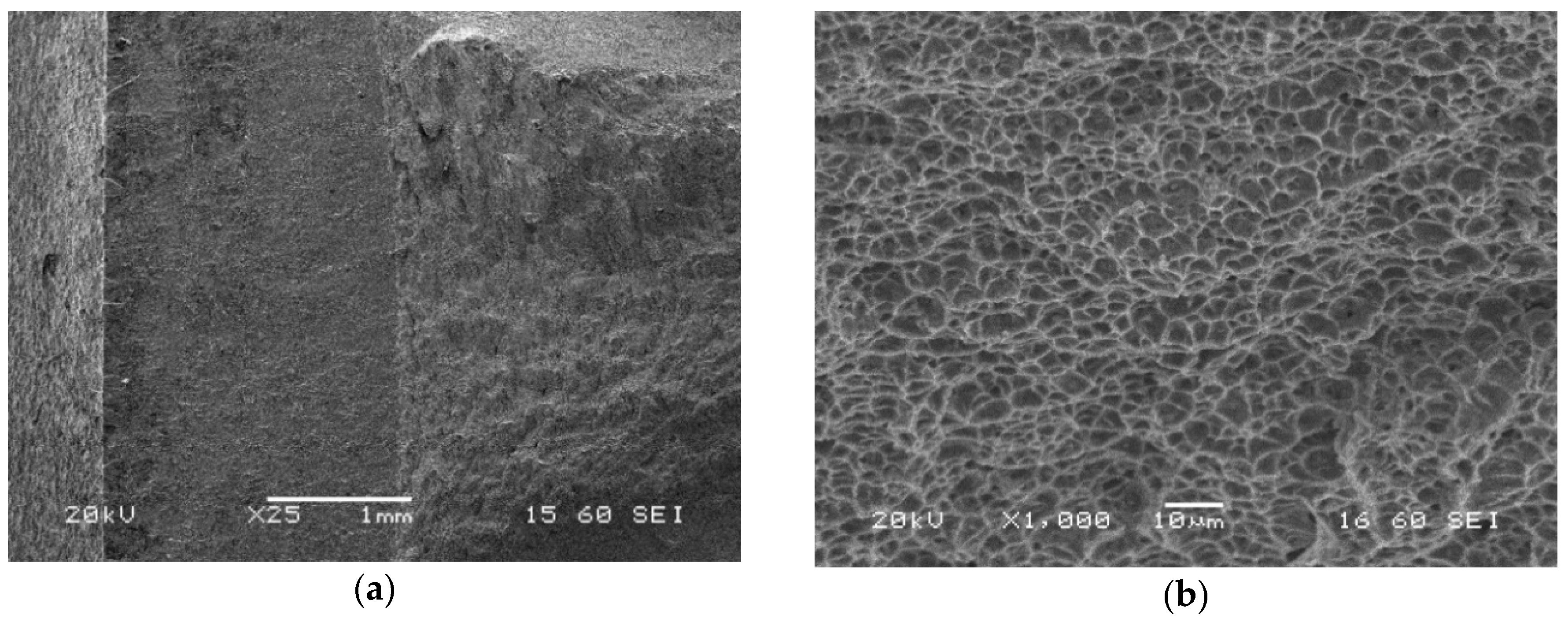 Materials 13 05249 g021 Materials 13 05249 g021