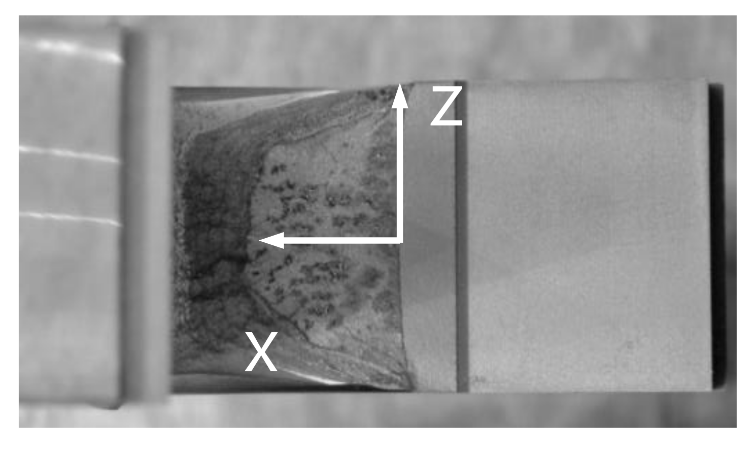 Materials 13 05250 g008