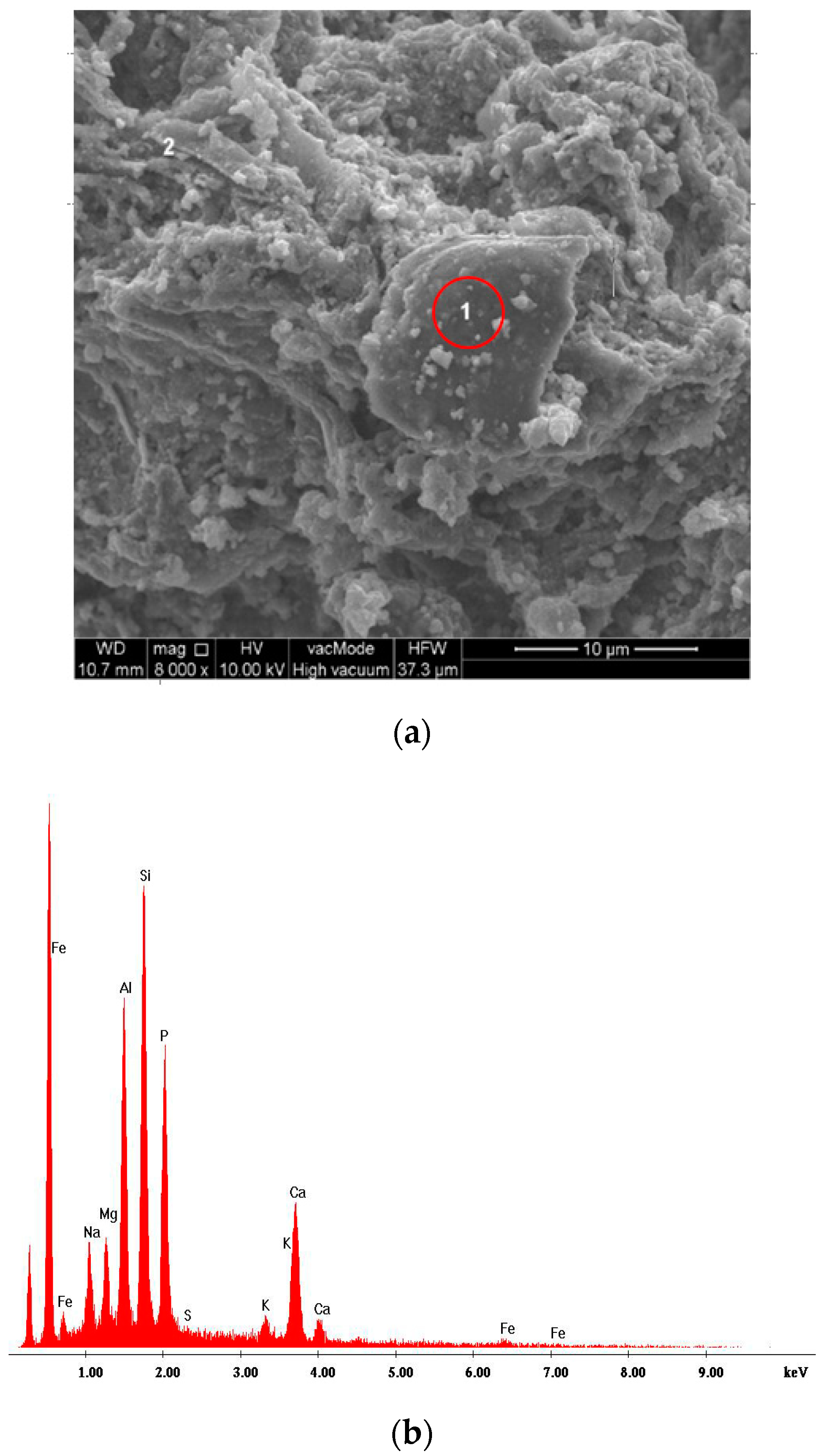 Materials 13 05259 g004