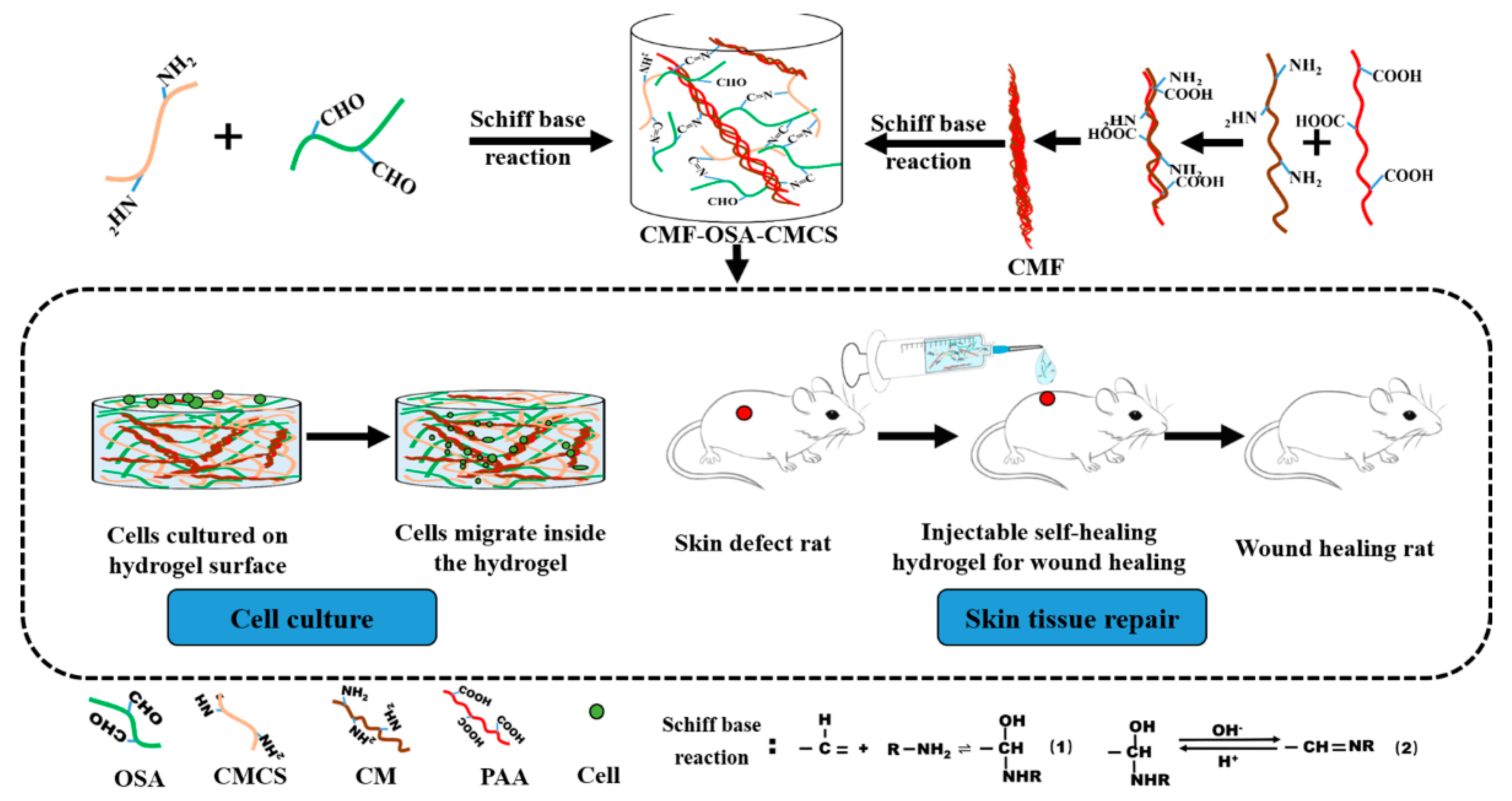 Materials 13 05277 g001