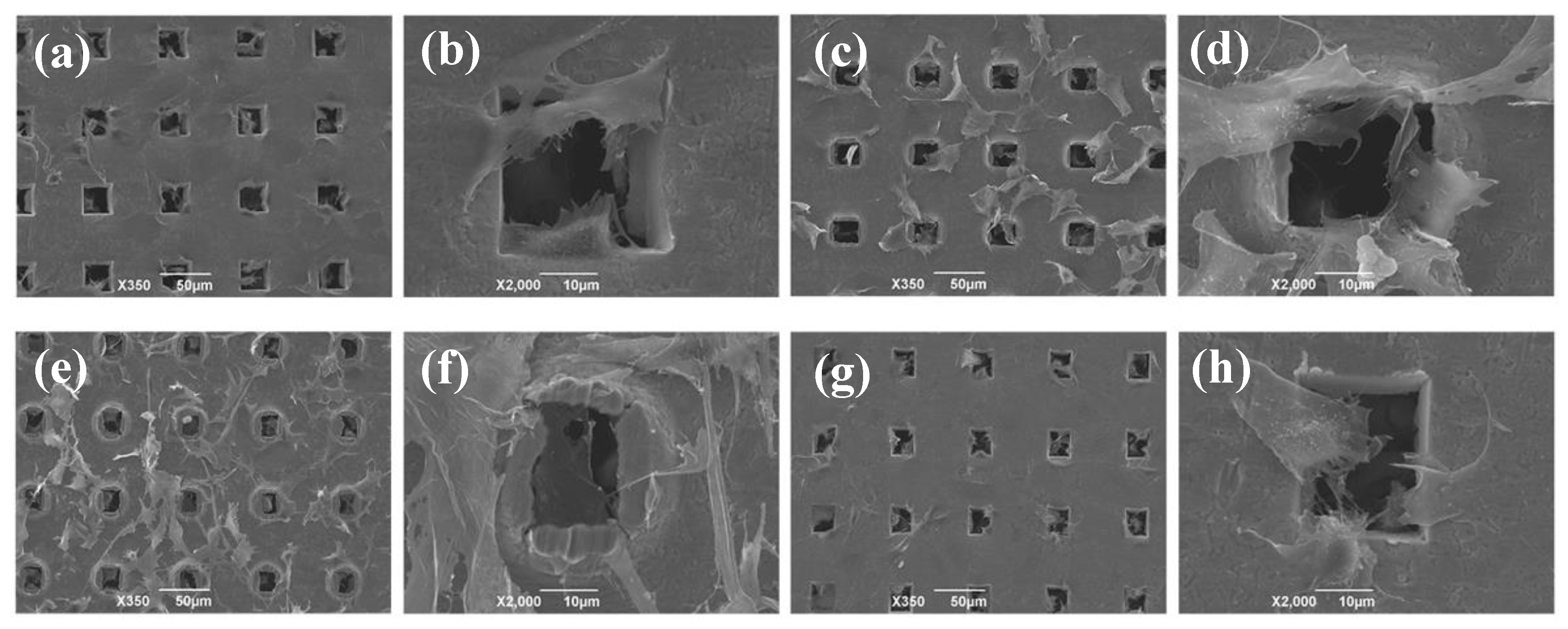 Materials 13 05288 g004