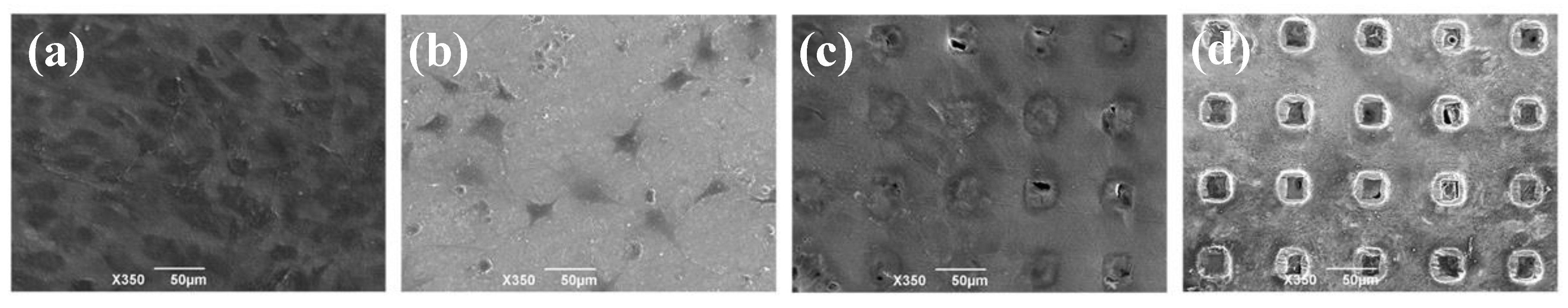 Materials 13 05288 g005