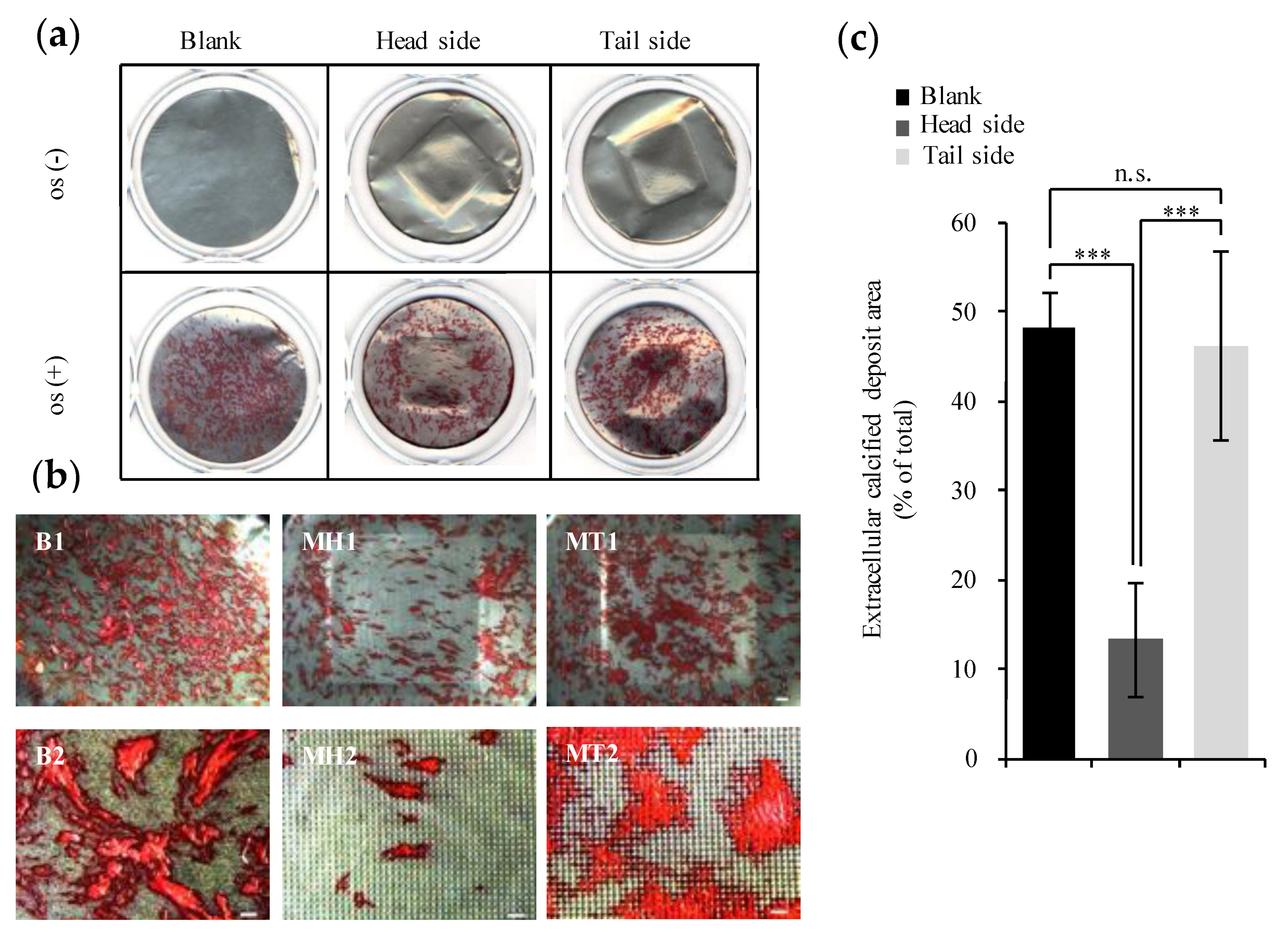 Materials 13 05288 g008