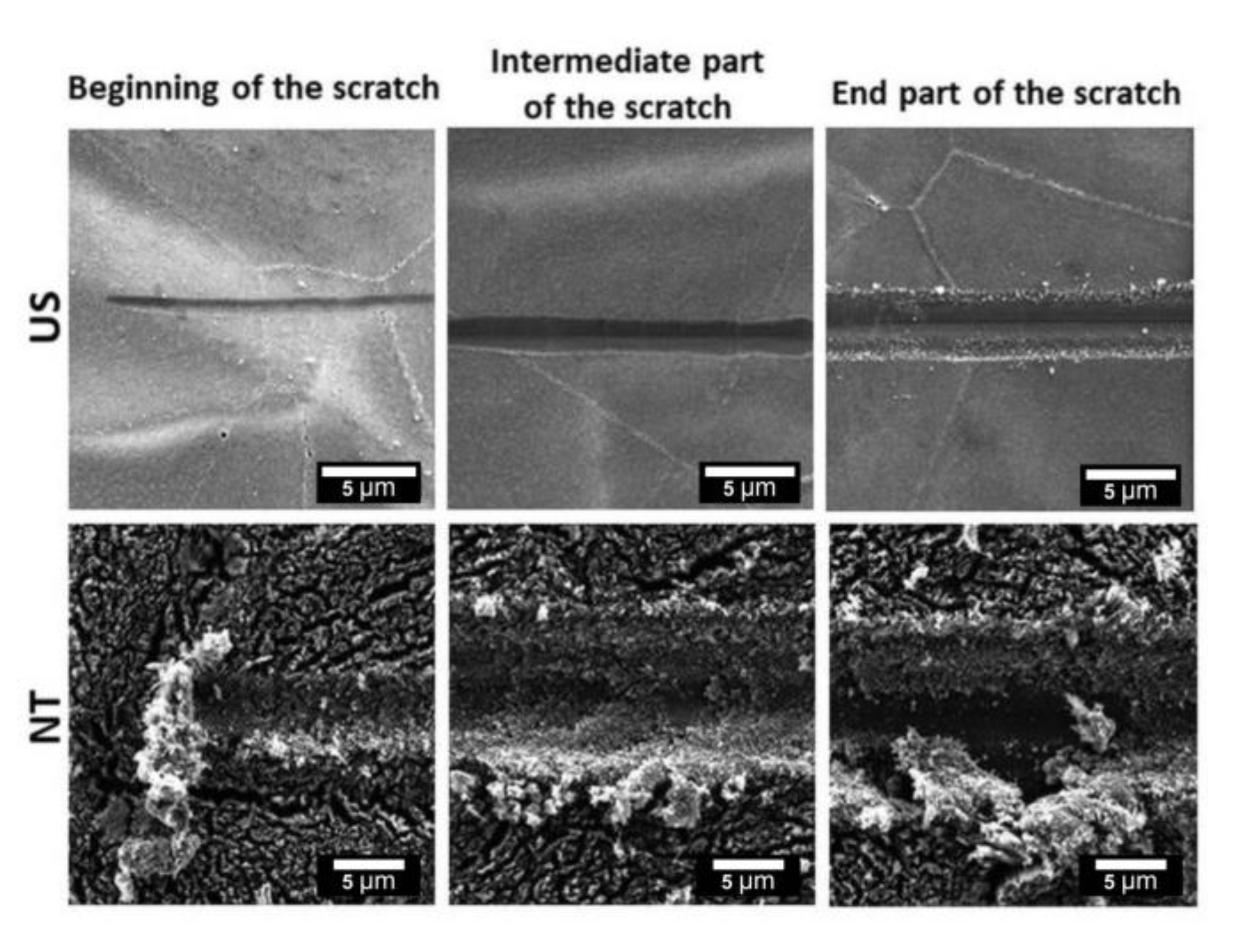 Materials 13 05290 g005