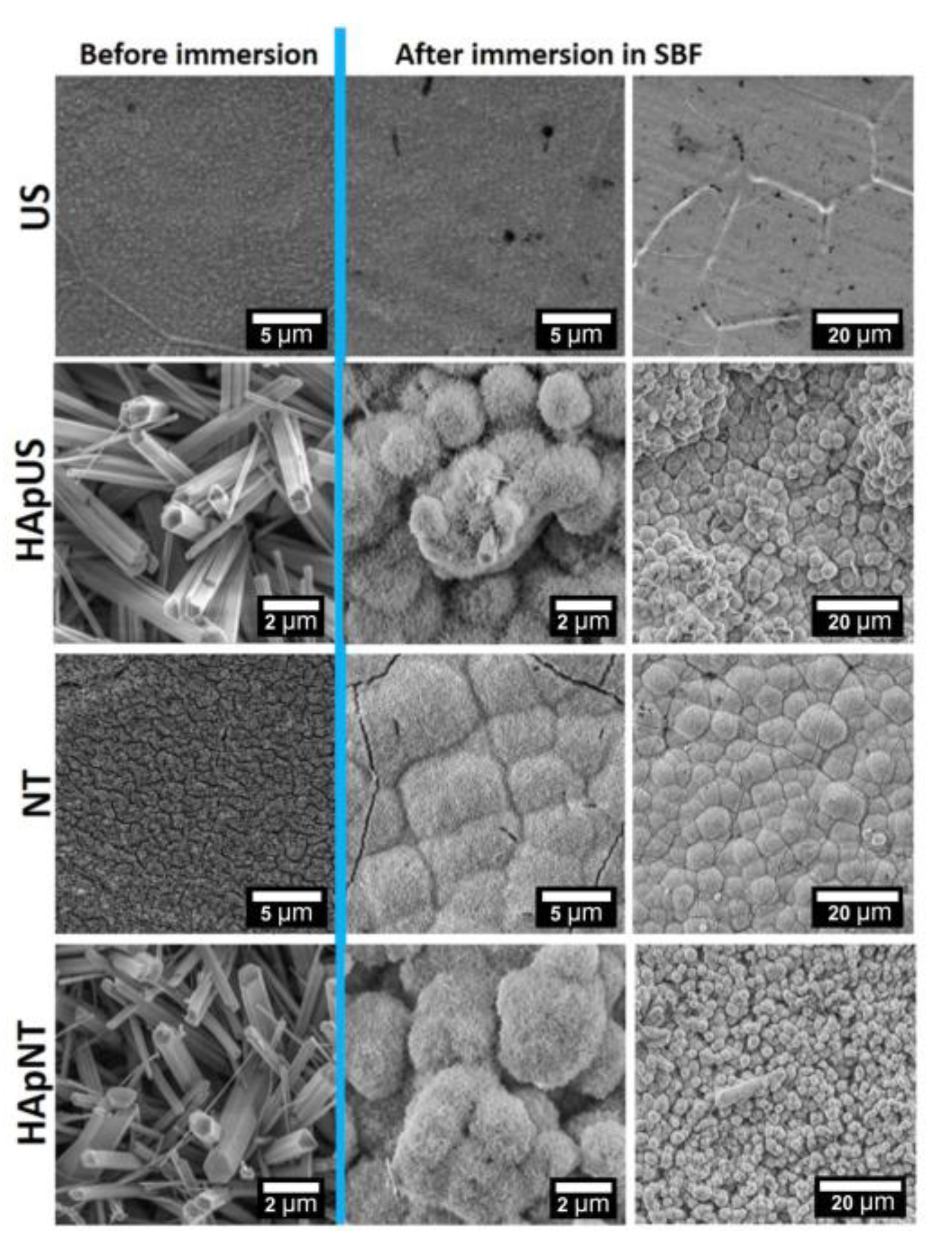 Materials 13 05290 g008