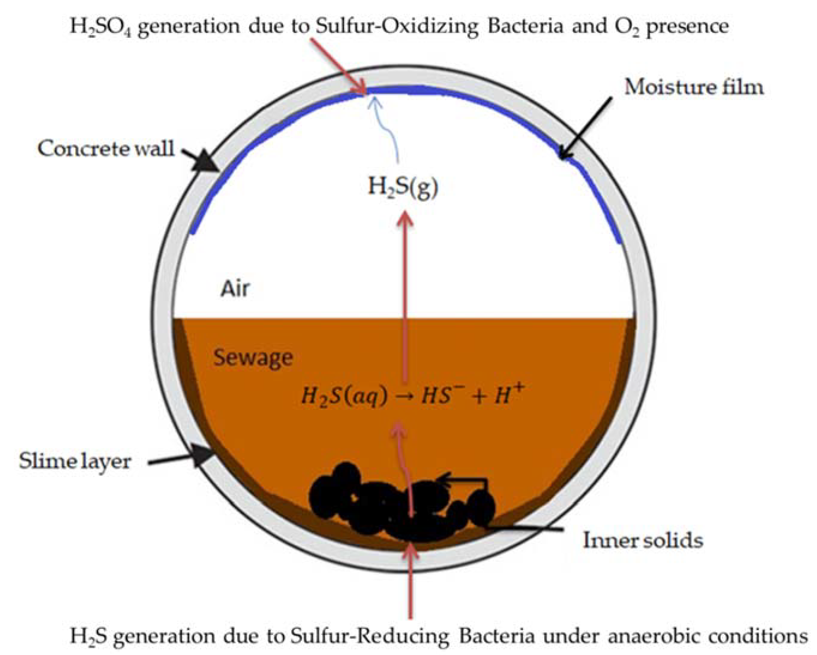 Materials 13 05291 g001