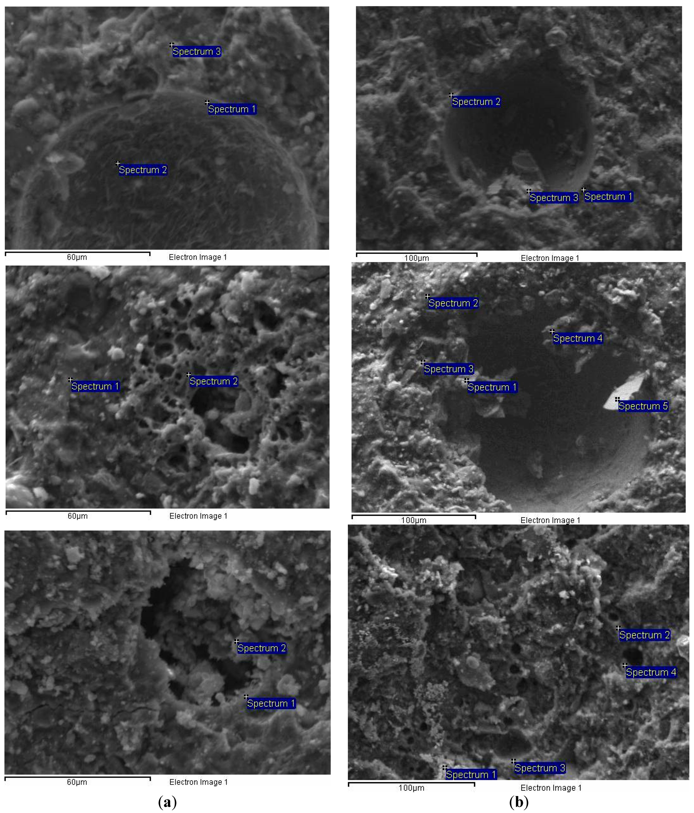 Materials 13 05301 g006