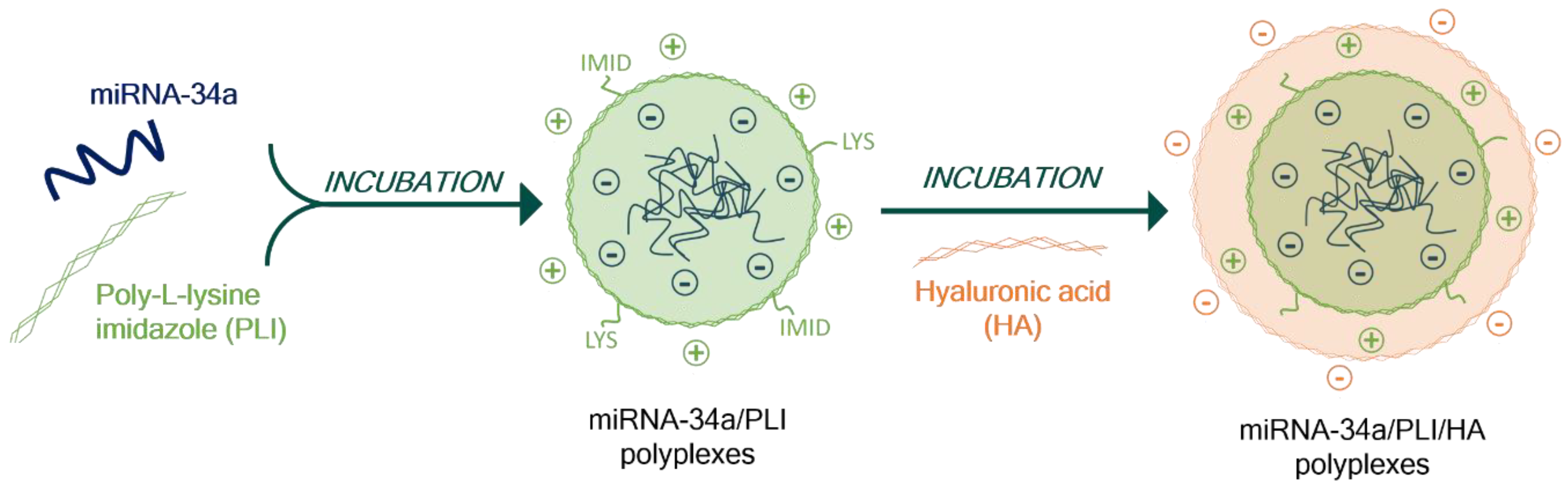 Materials 13 05309 g001