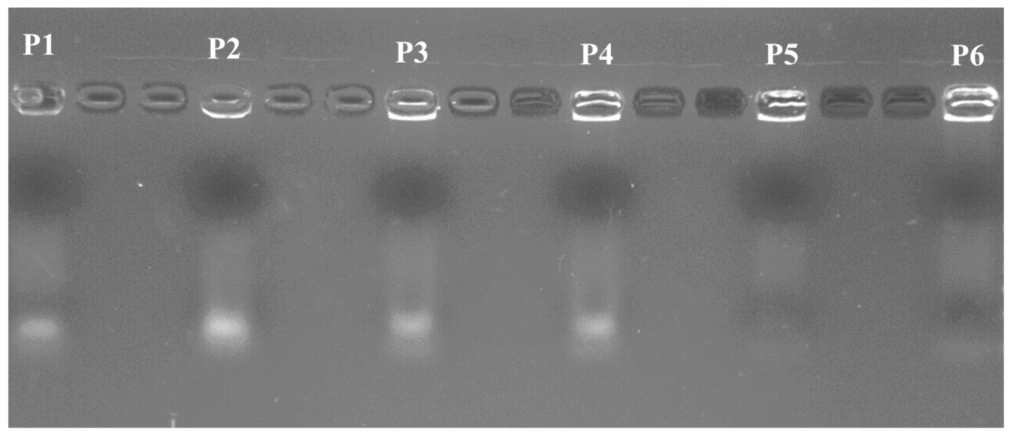 Materials 13 05309 g004