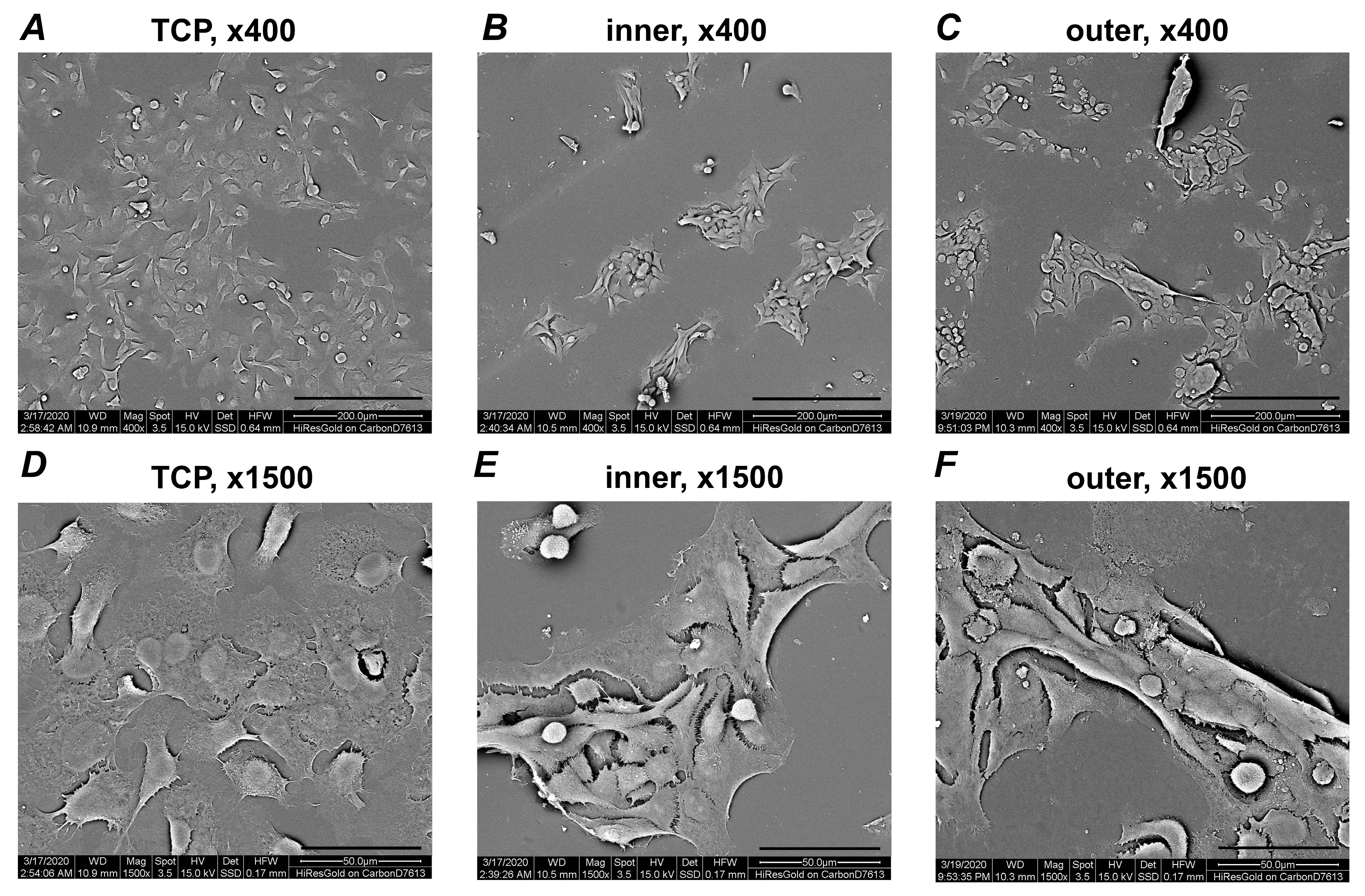 Materials 13 05311 g002