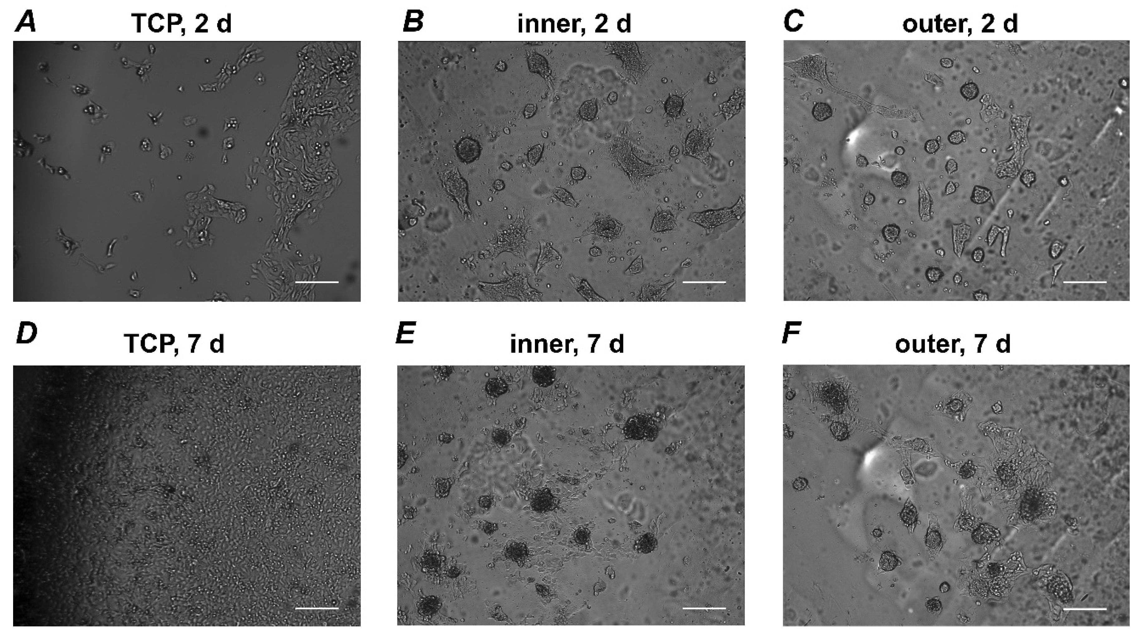 Materials 13 05311 g003