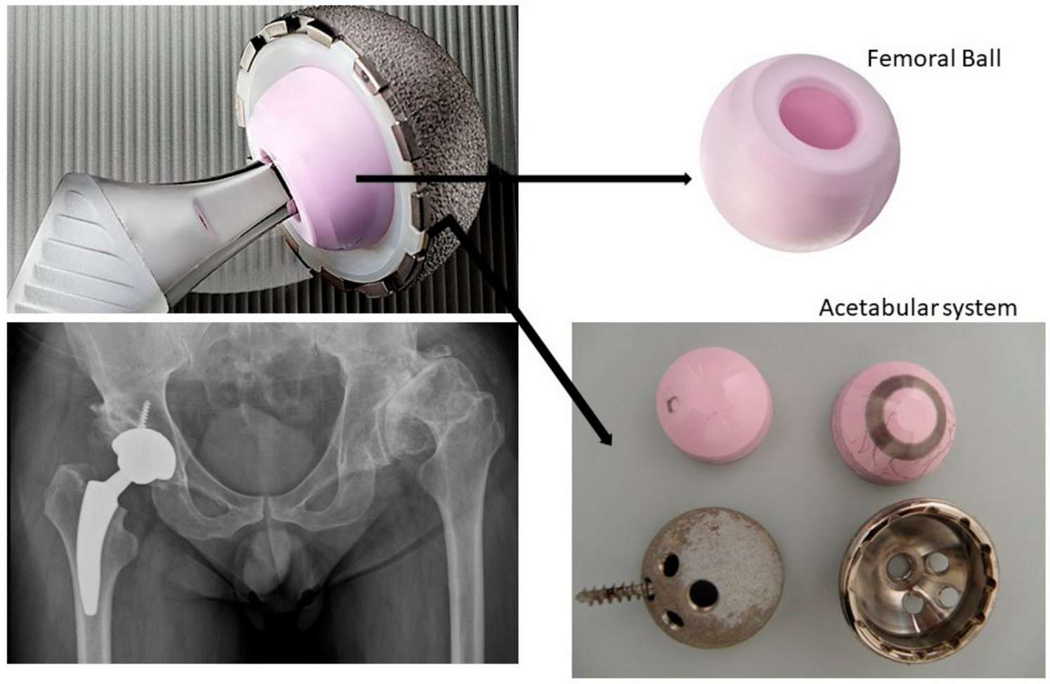 Materials 13 05318 g001