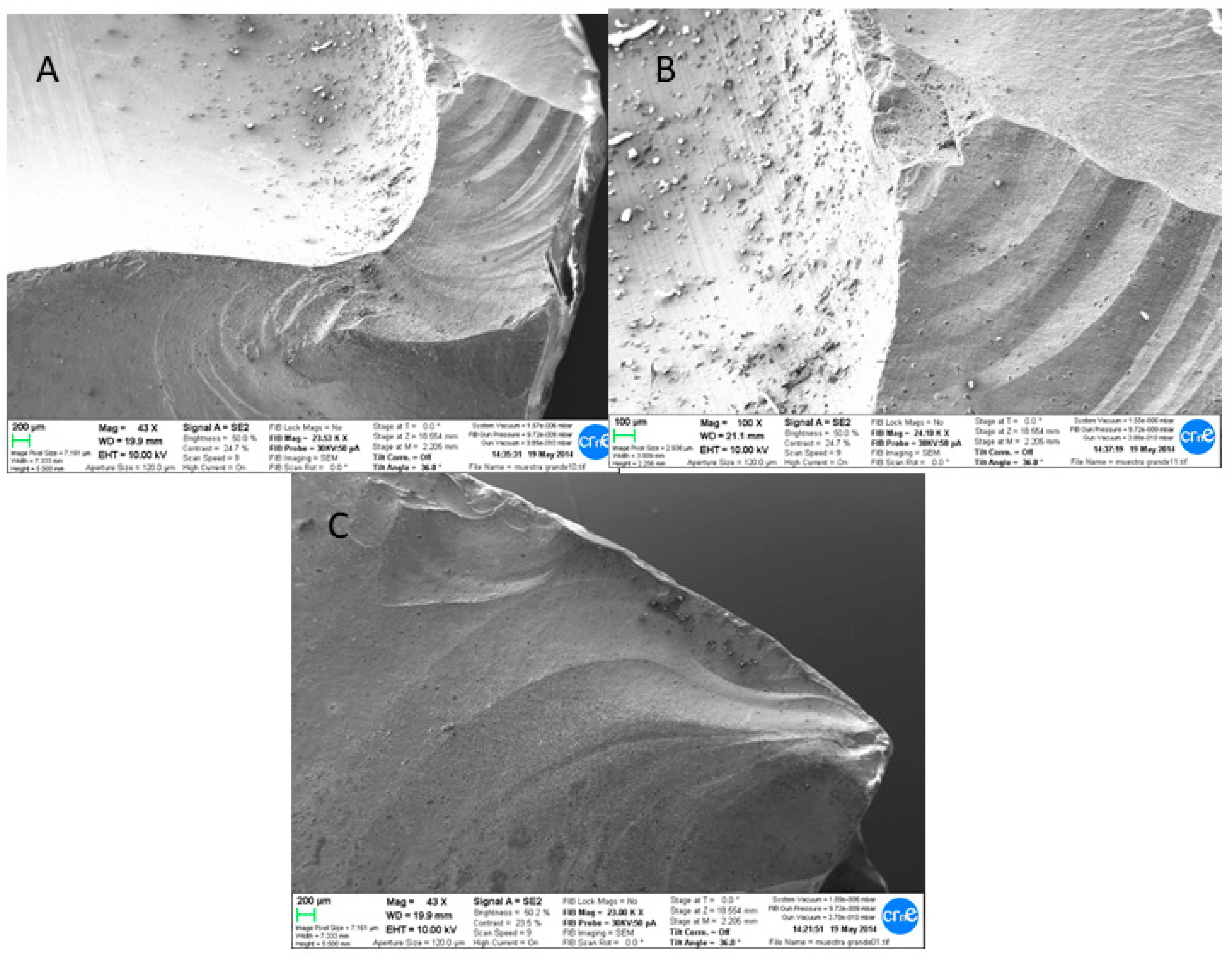 Materials 13 05318 g005