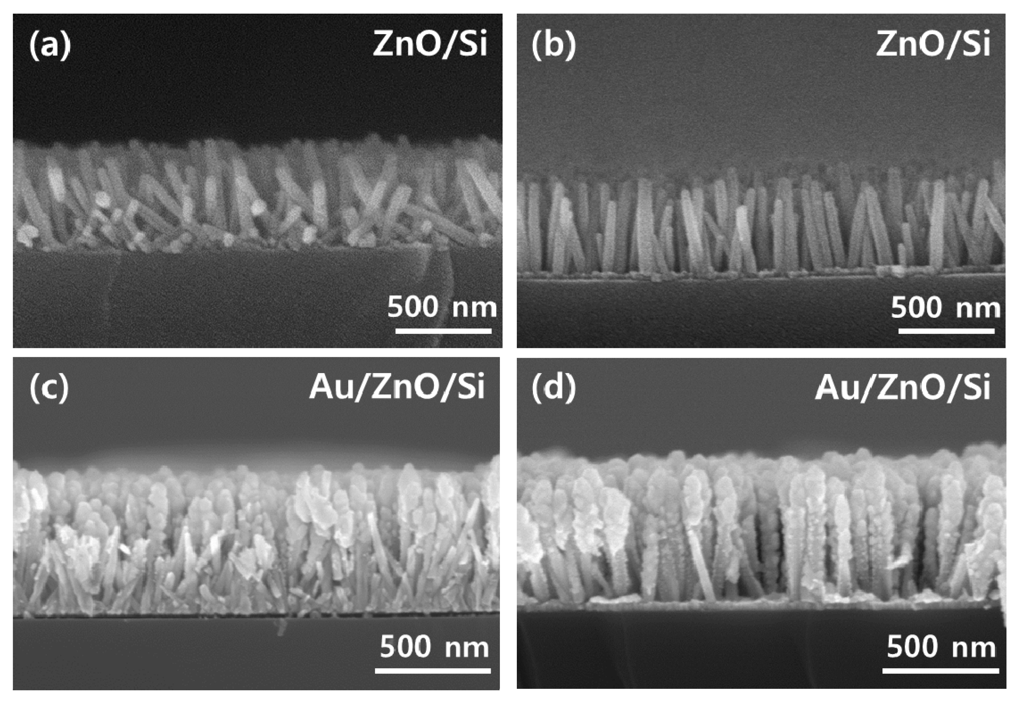 Materials 13 05321 g003 Materials 13 05321 g003