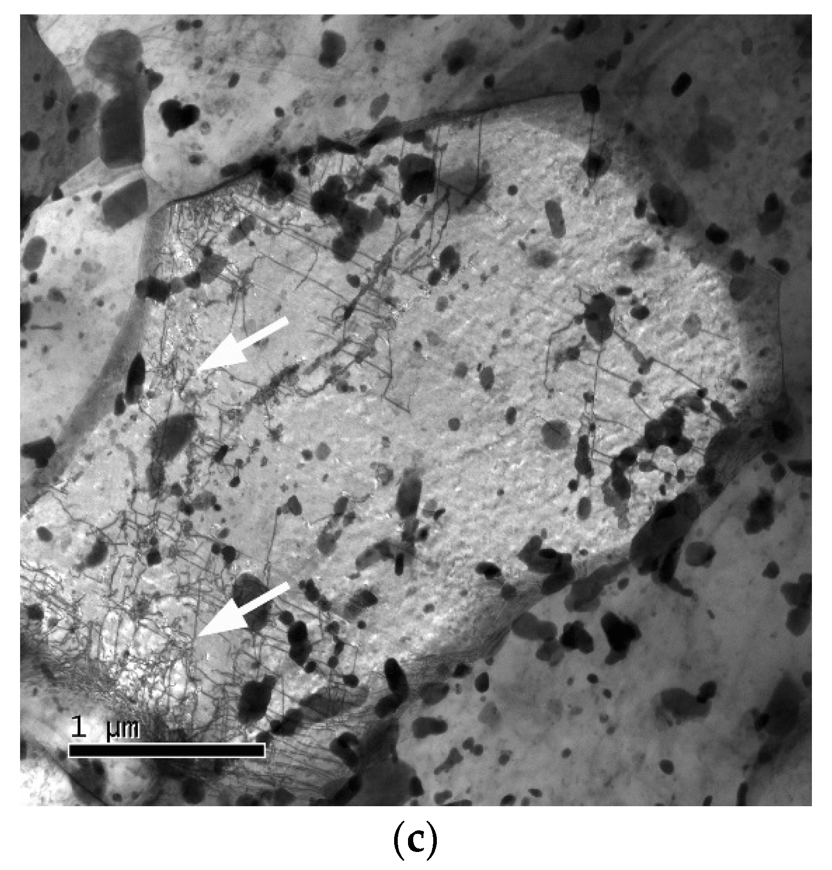 Materials 13 05330 g012b