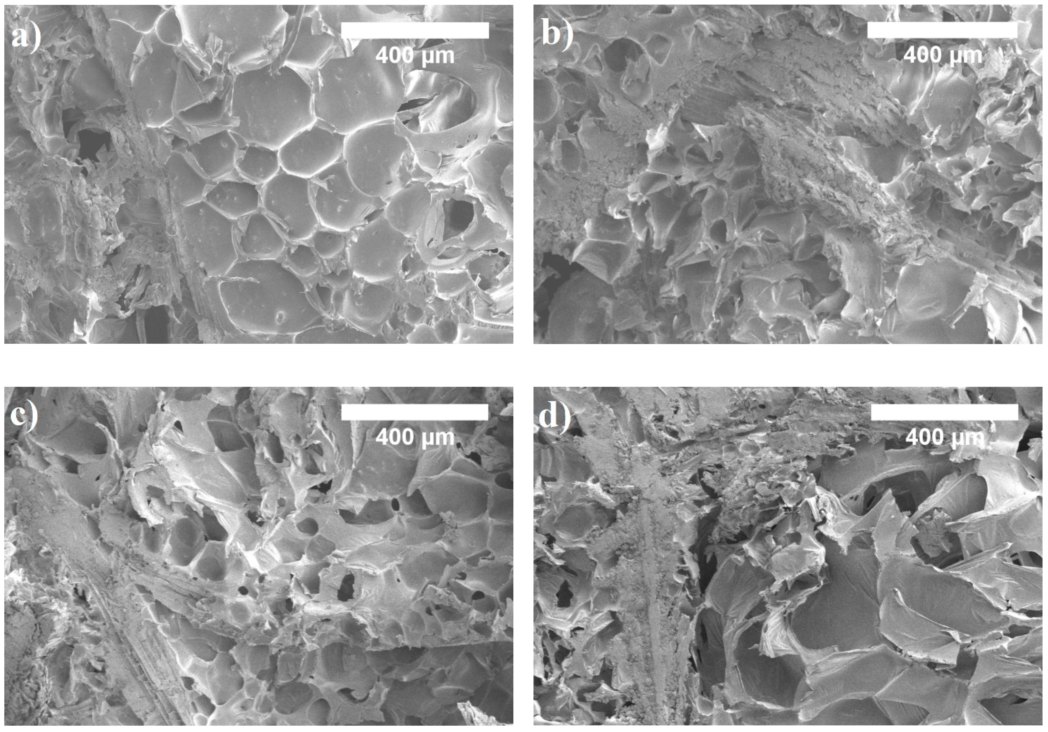 Materials 13 05336 g006