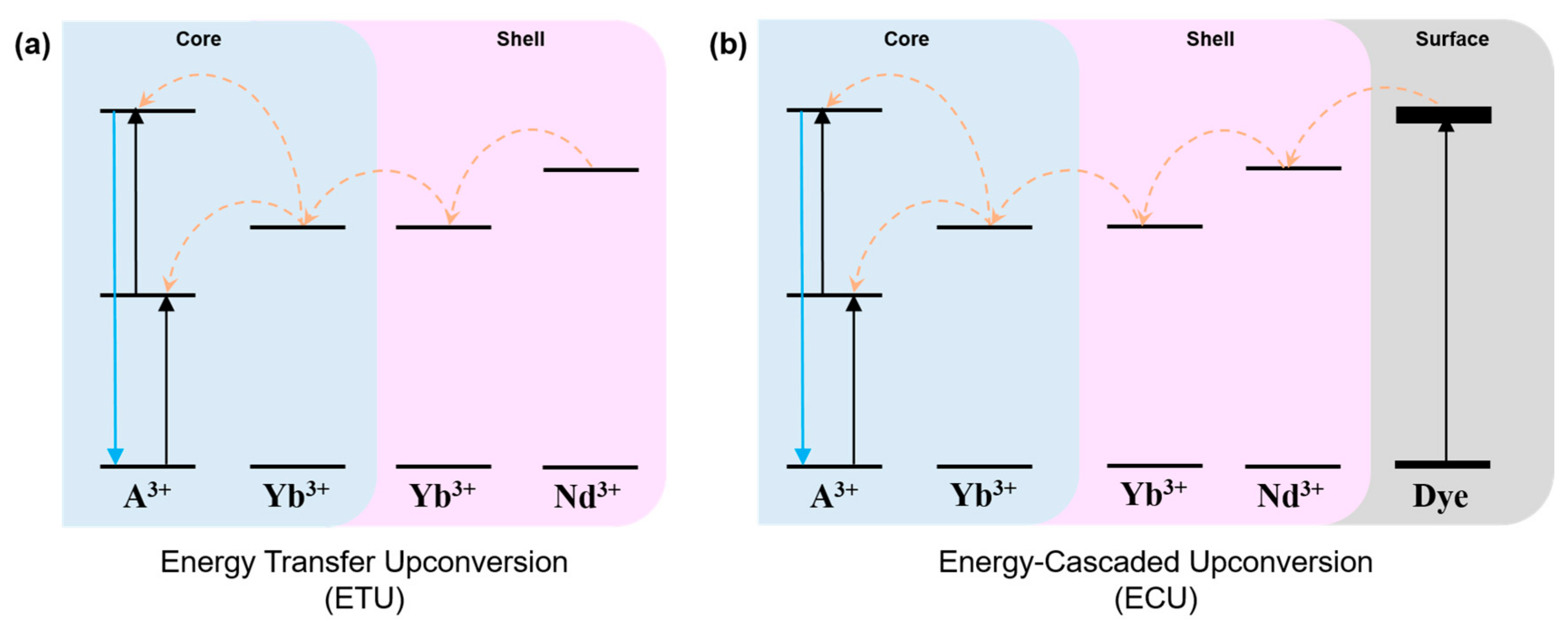 Materials 13 05338 g001