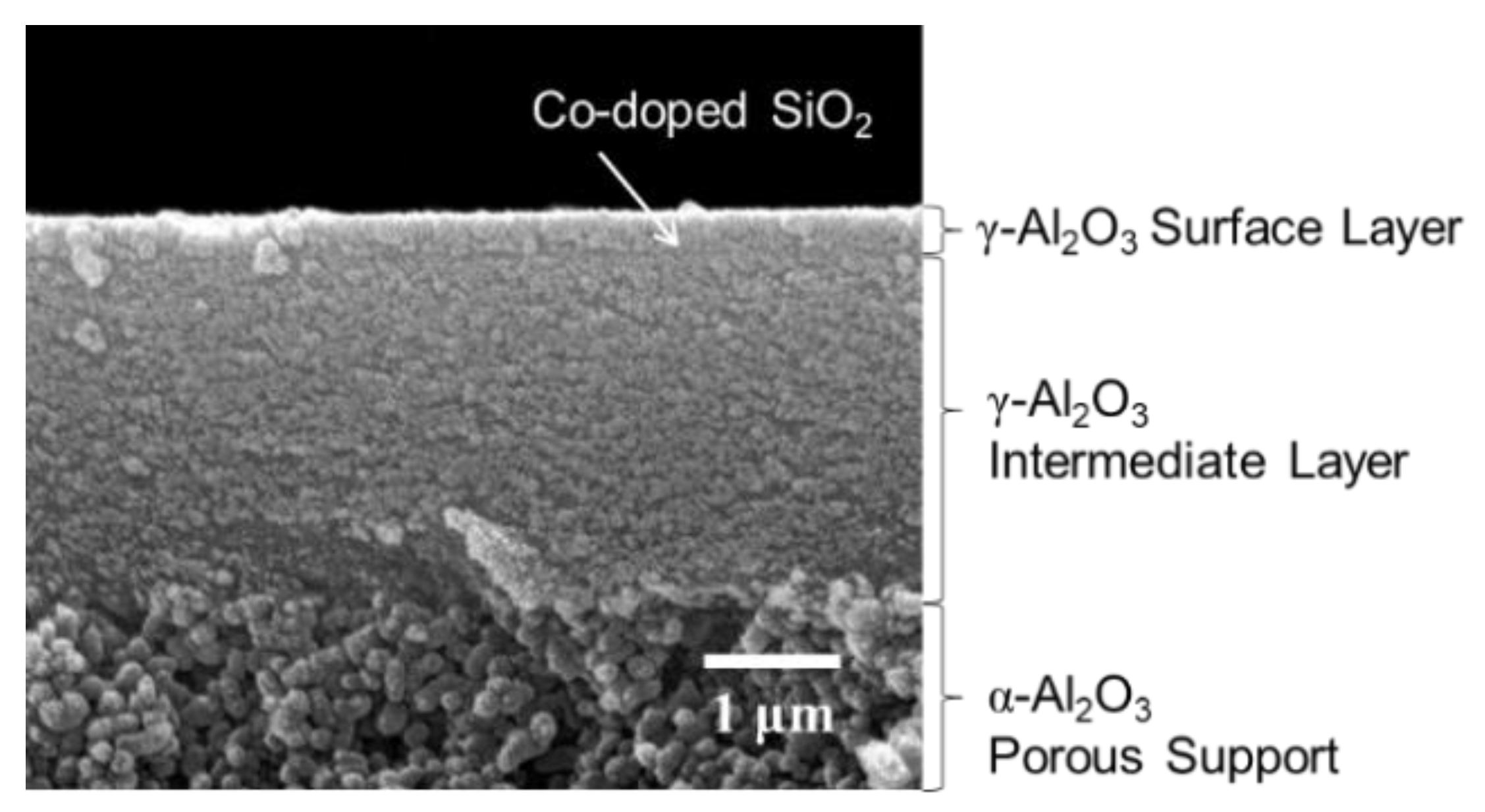 Materials 13 05345 g008