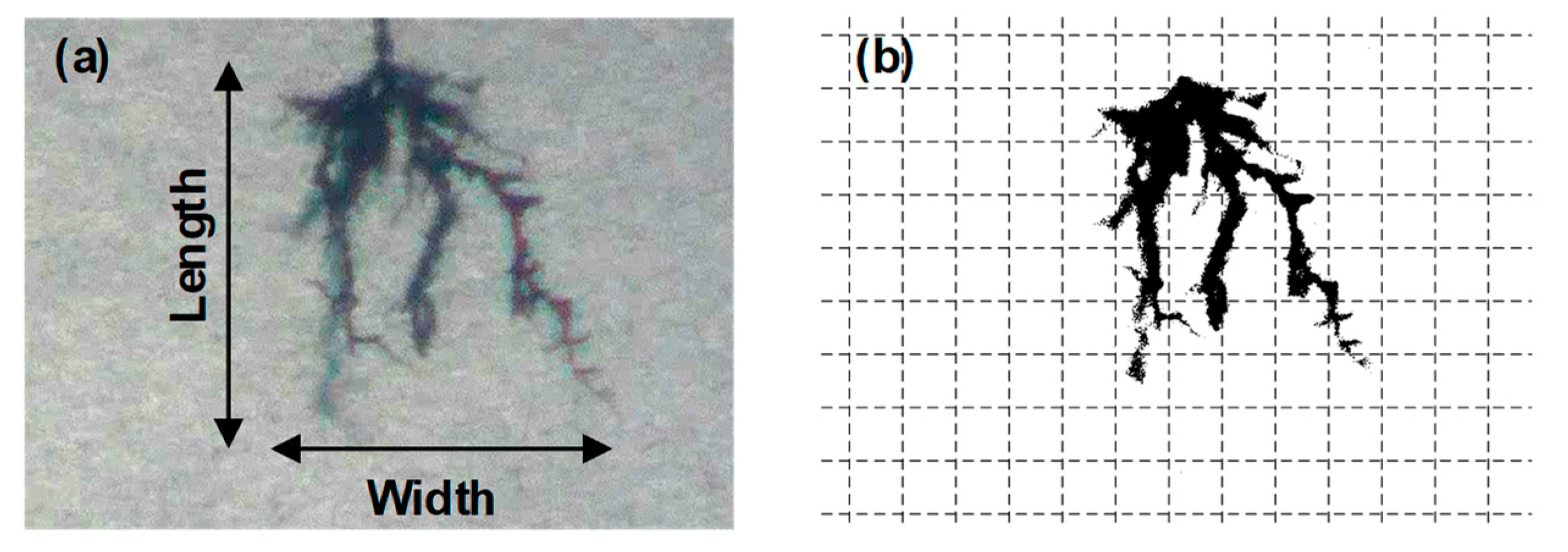 Materials 13 05360 g002