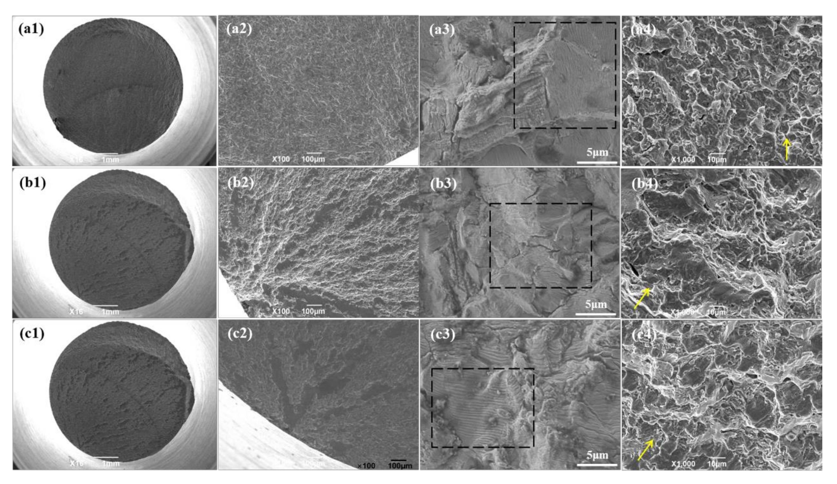 Materials 13 05364 g001