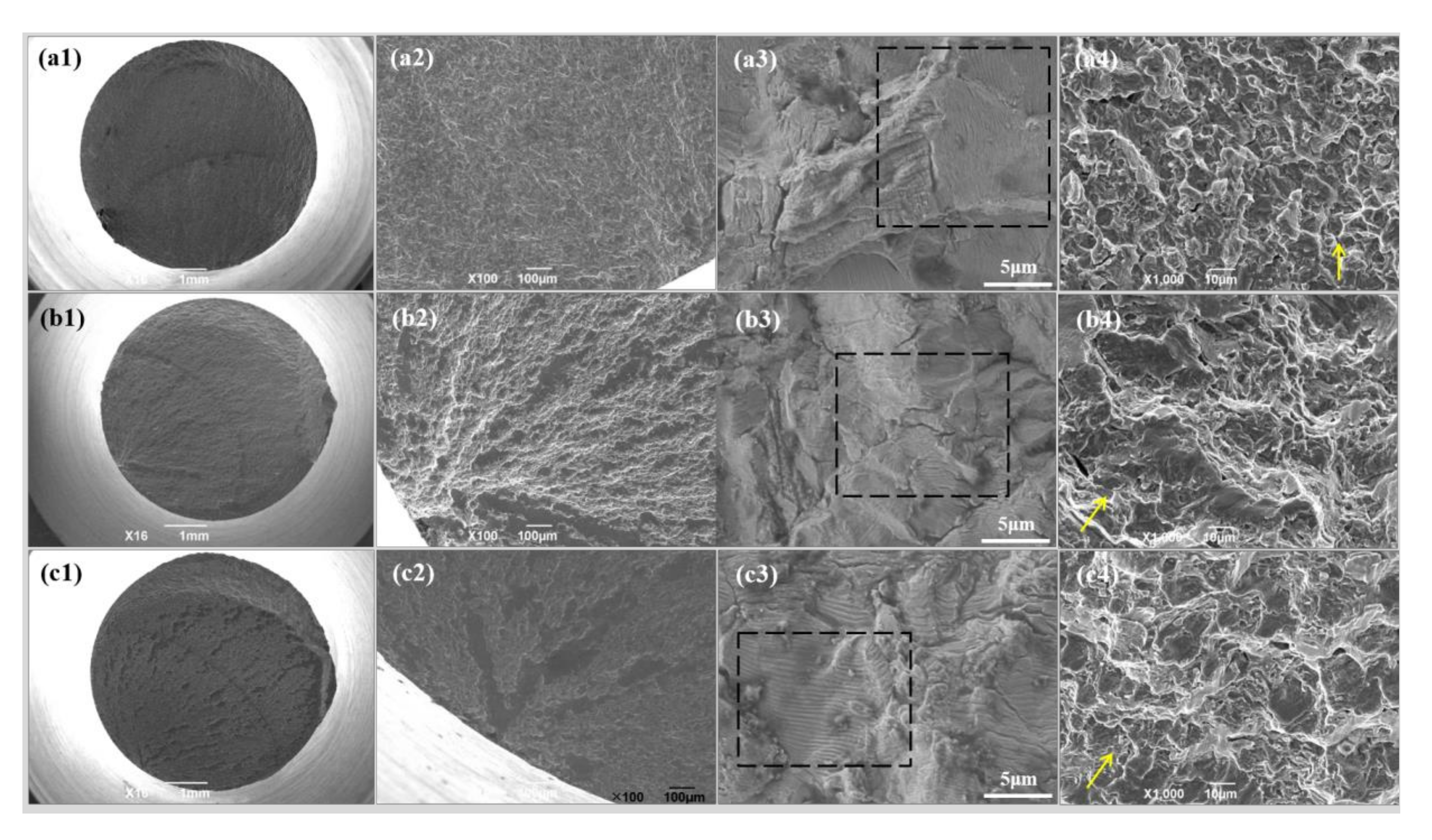 Materials 13 05364 g002