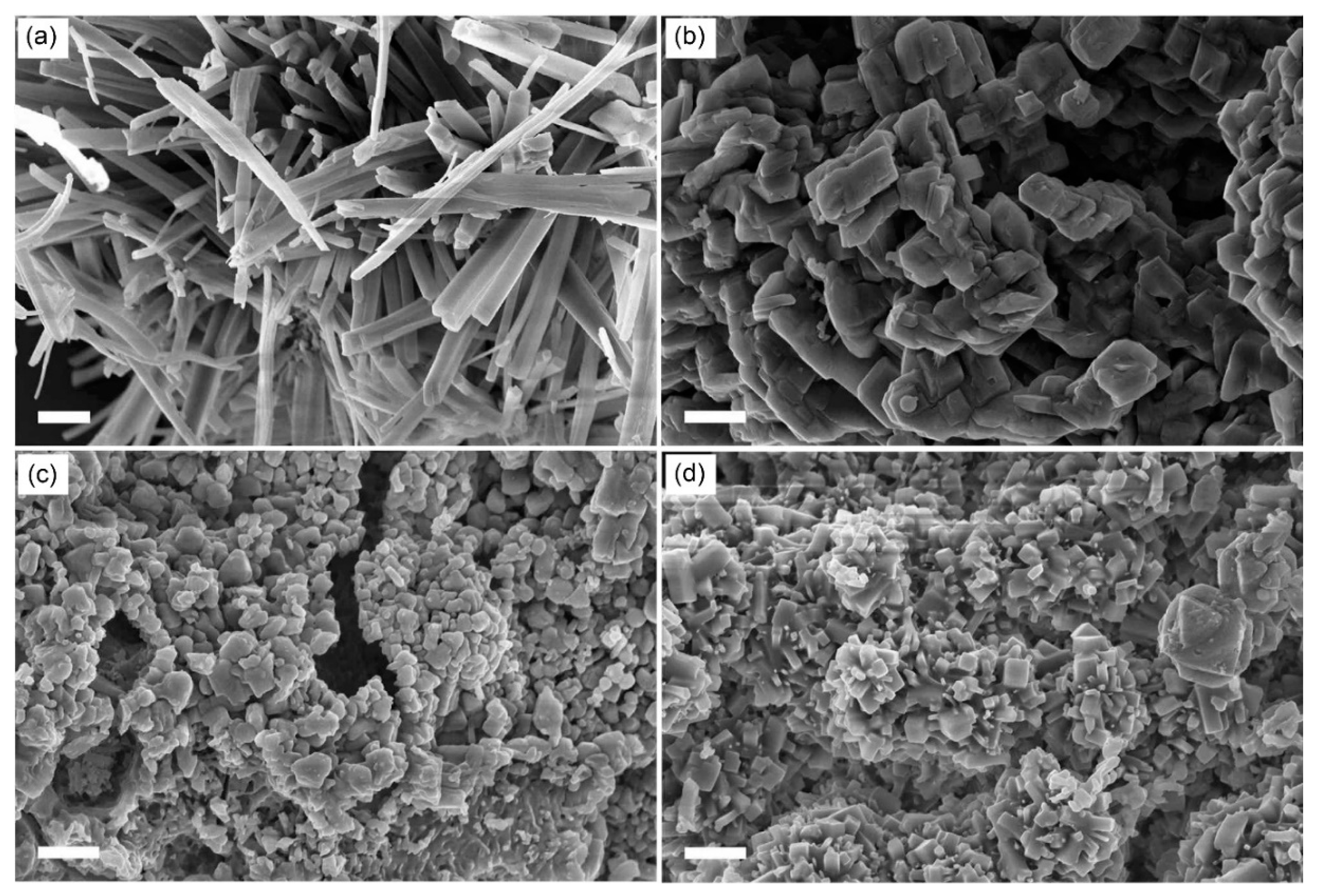 Materials 13 05384 g005