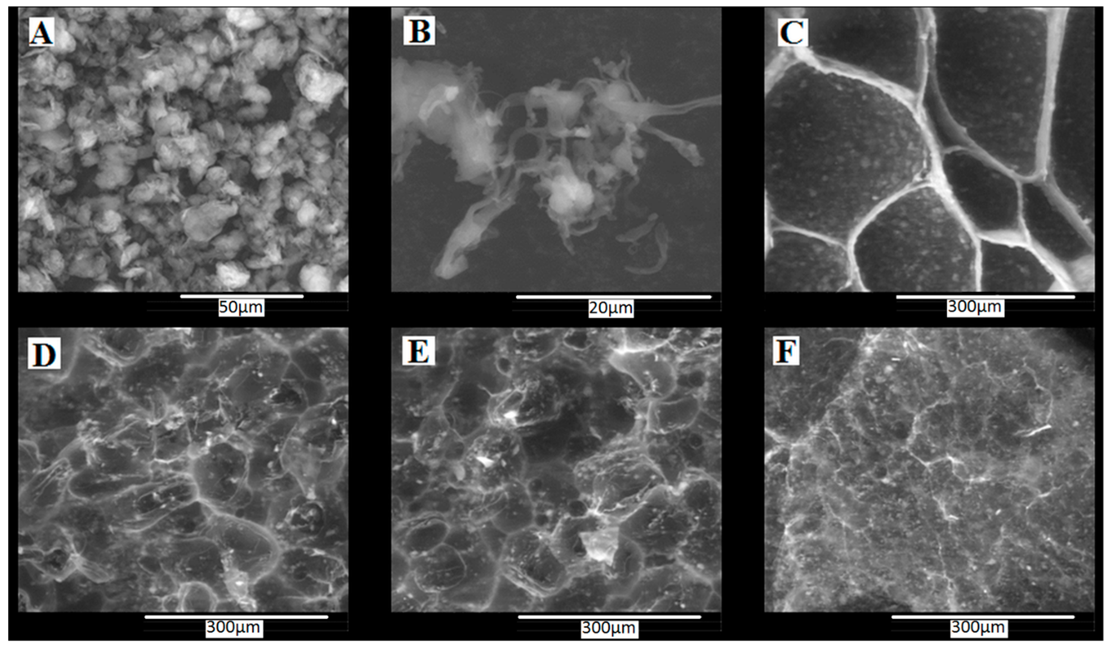 Materials 13 05389 g002