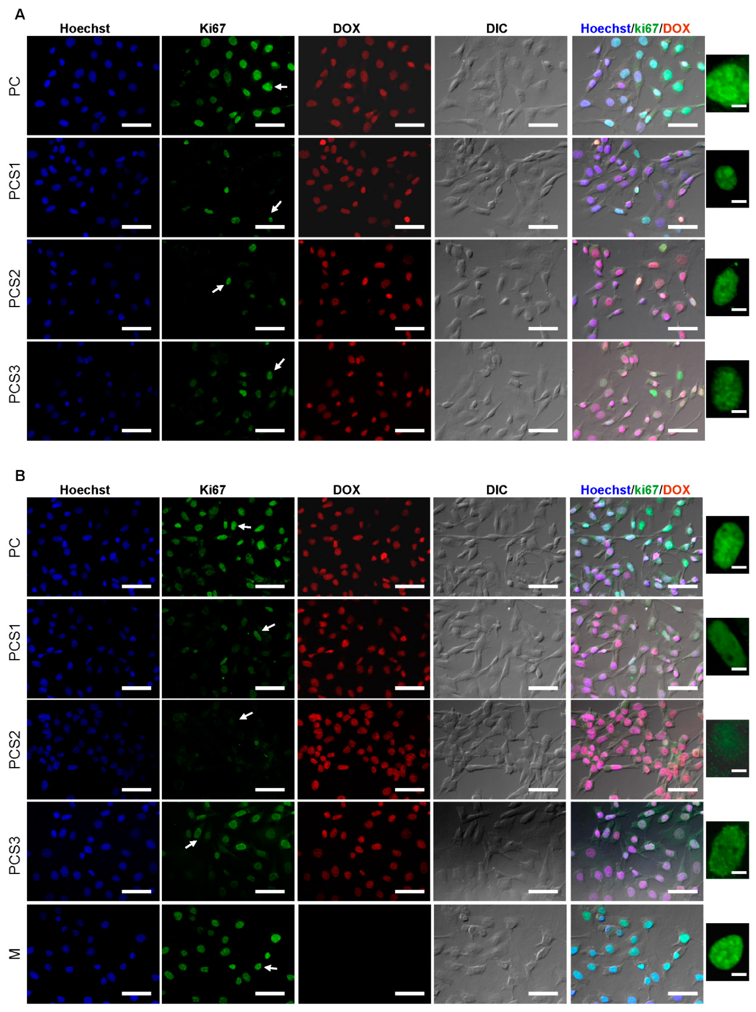 Materials 13 05389 g009a