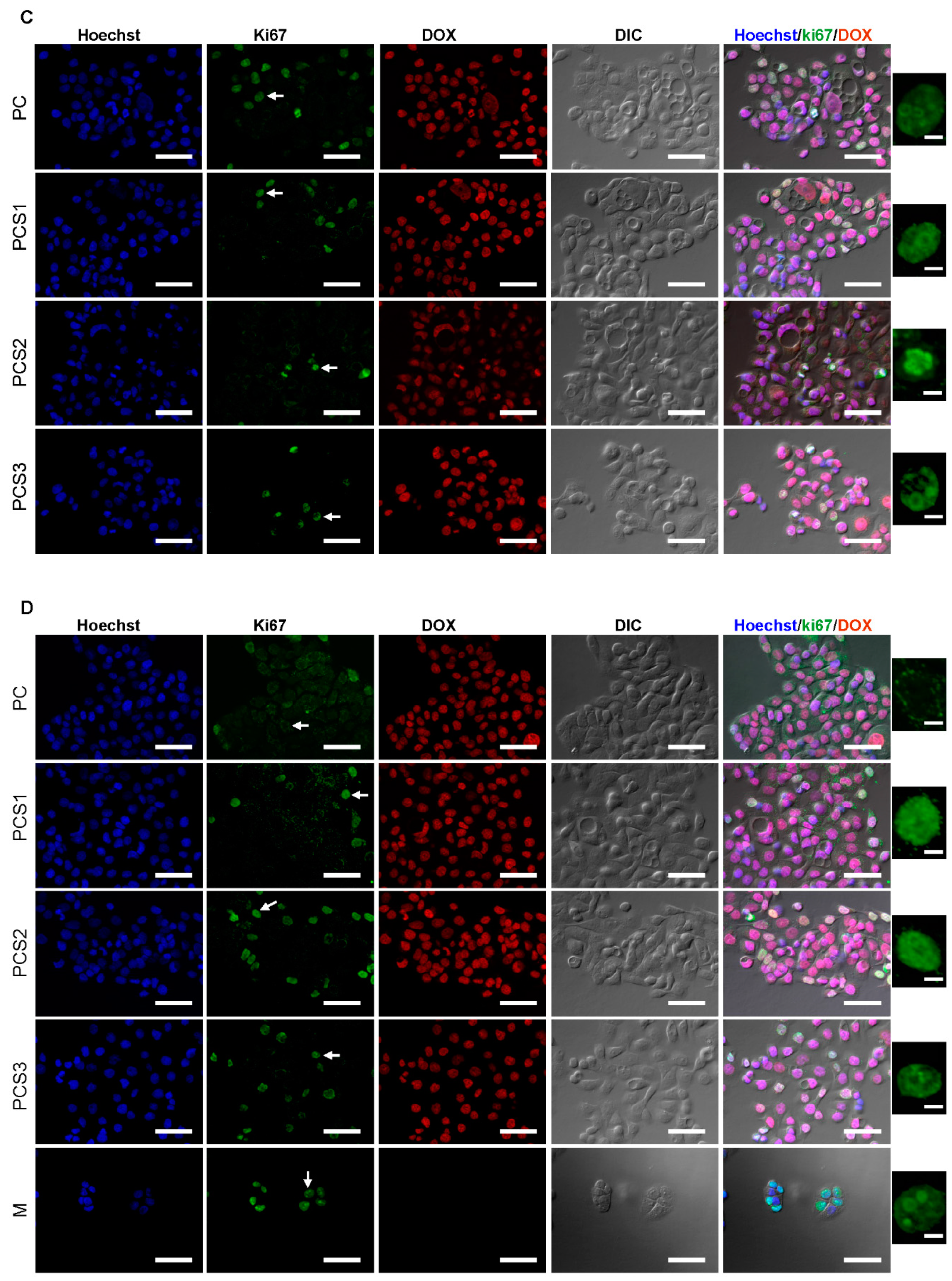 Materials 13 05389 g009b