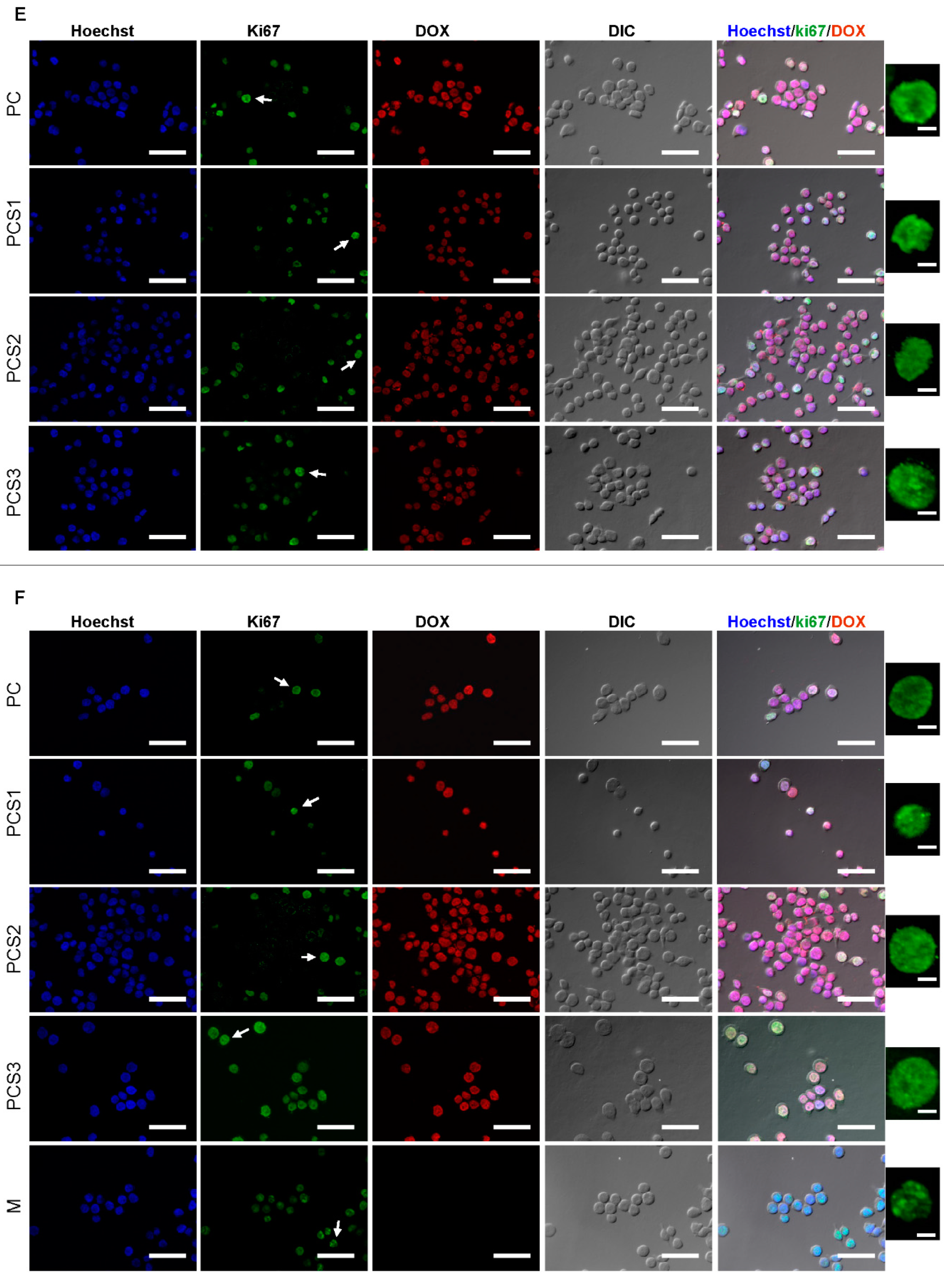 Materials 13 05389 g009c