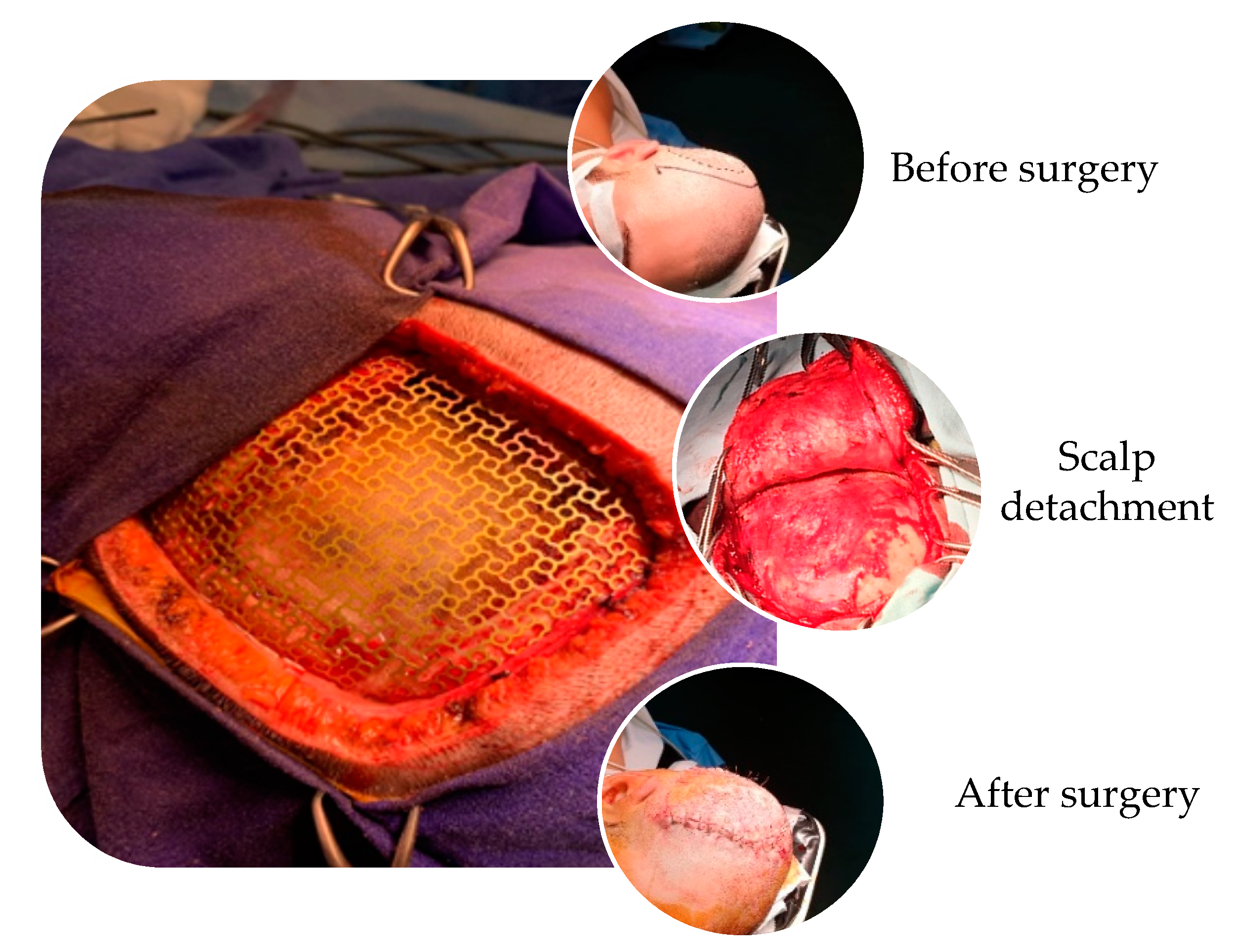 Materials 13 05391 g001