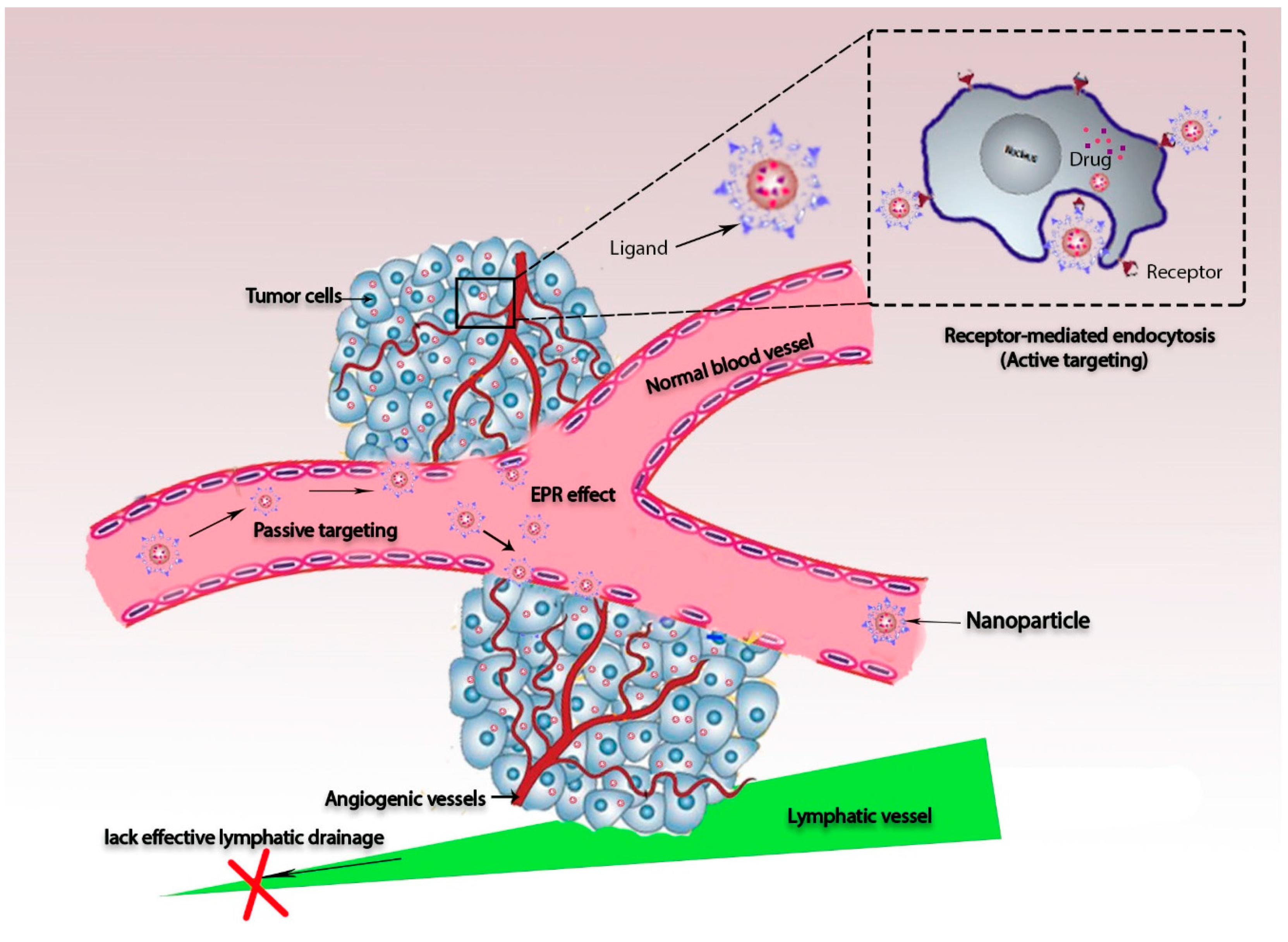 Materials 13 05397 g002 Materials 13 05397 g002