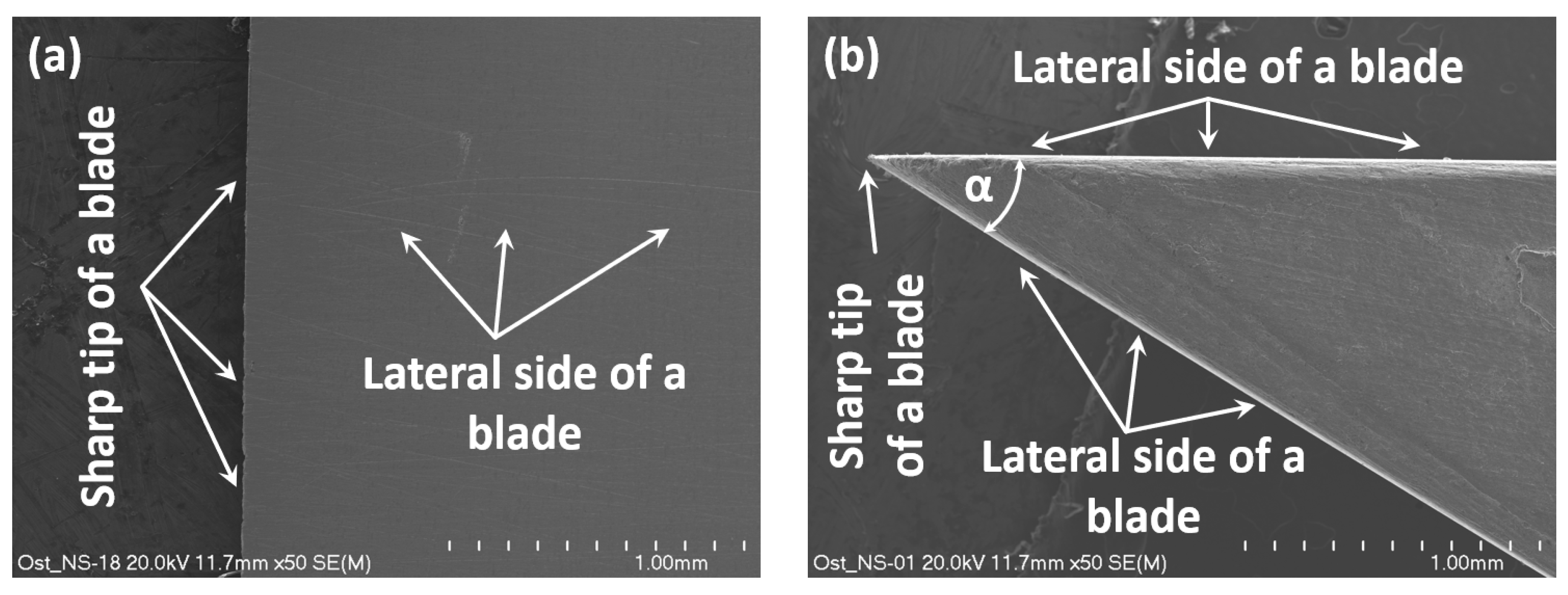 Materials 13 05404 g006