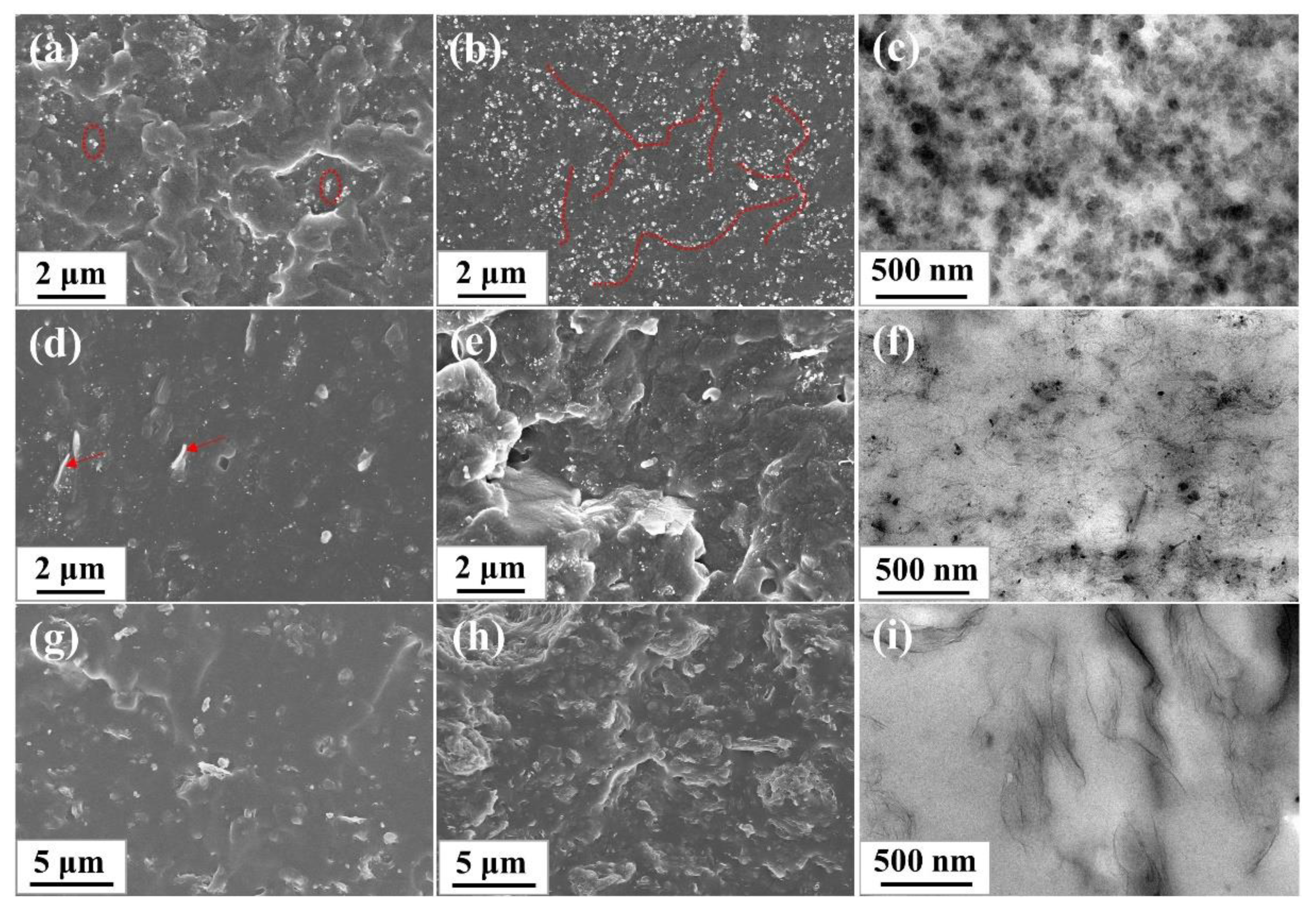 Materials 13 05416 g005