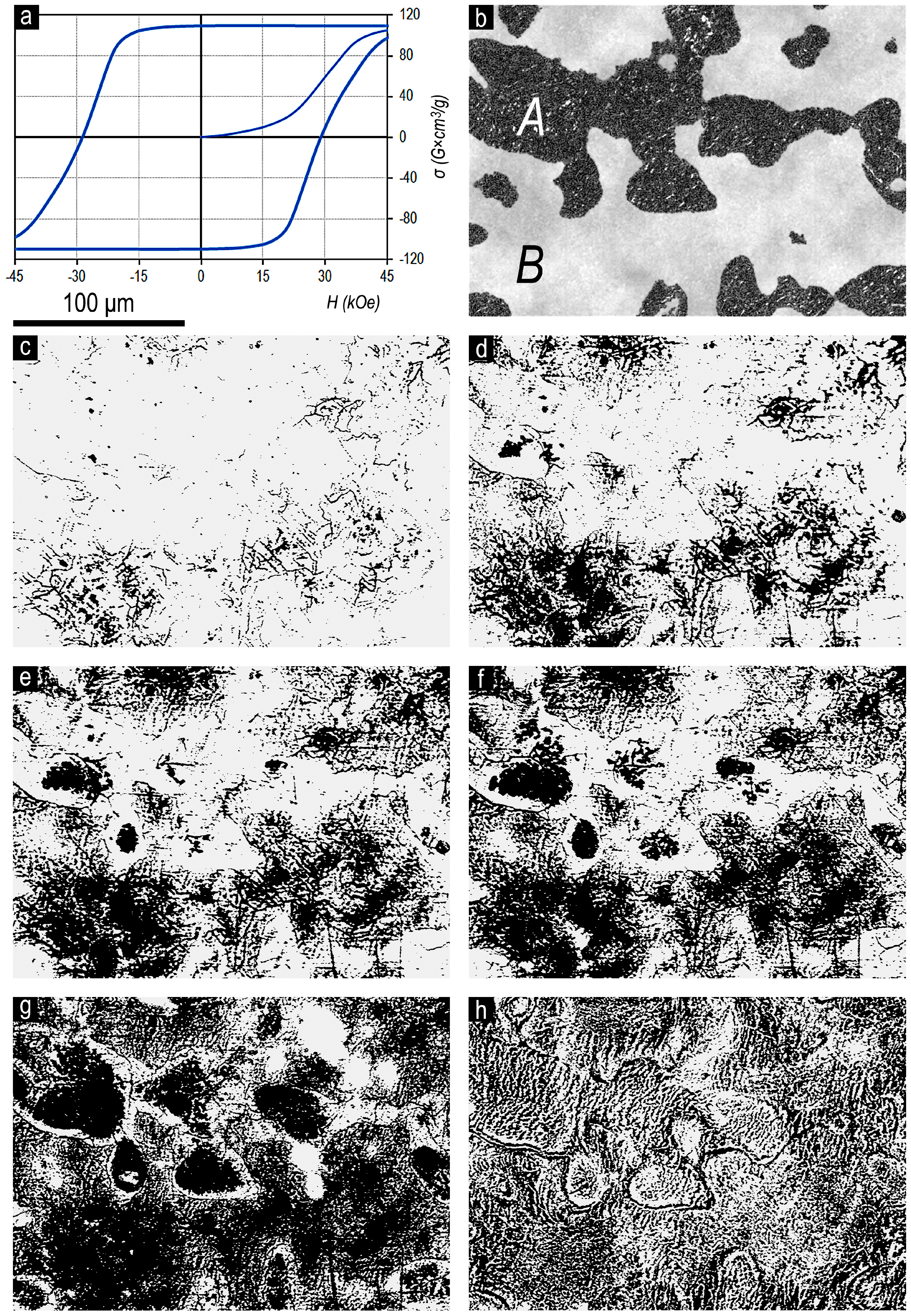 Materials 13 05426 g003