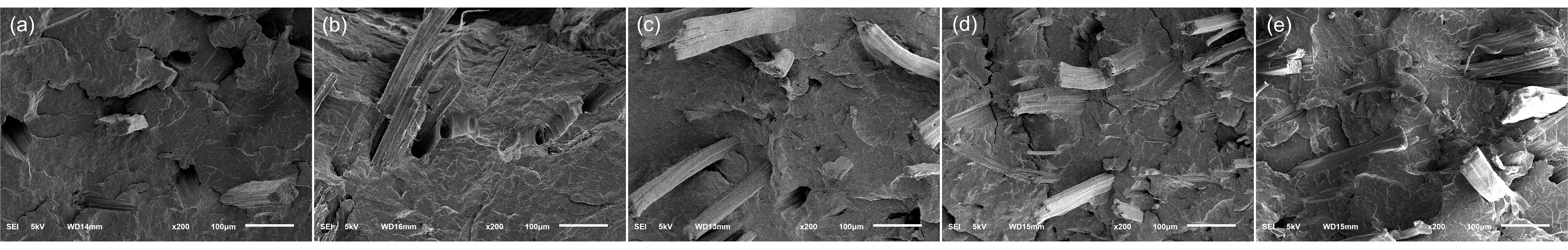 Materials 13 05428 g012