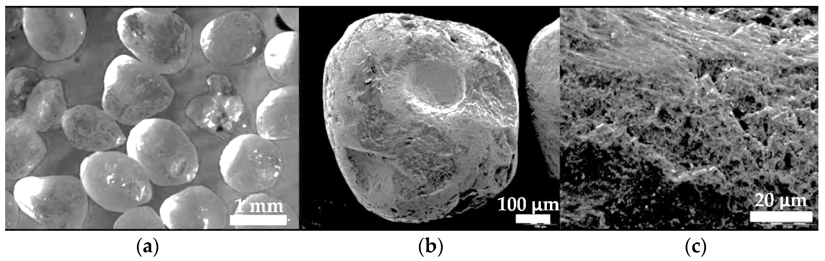 Materials 13 05445 g004