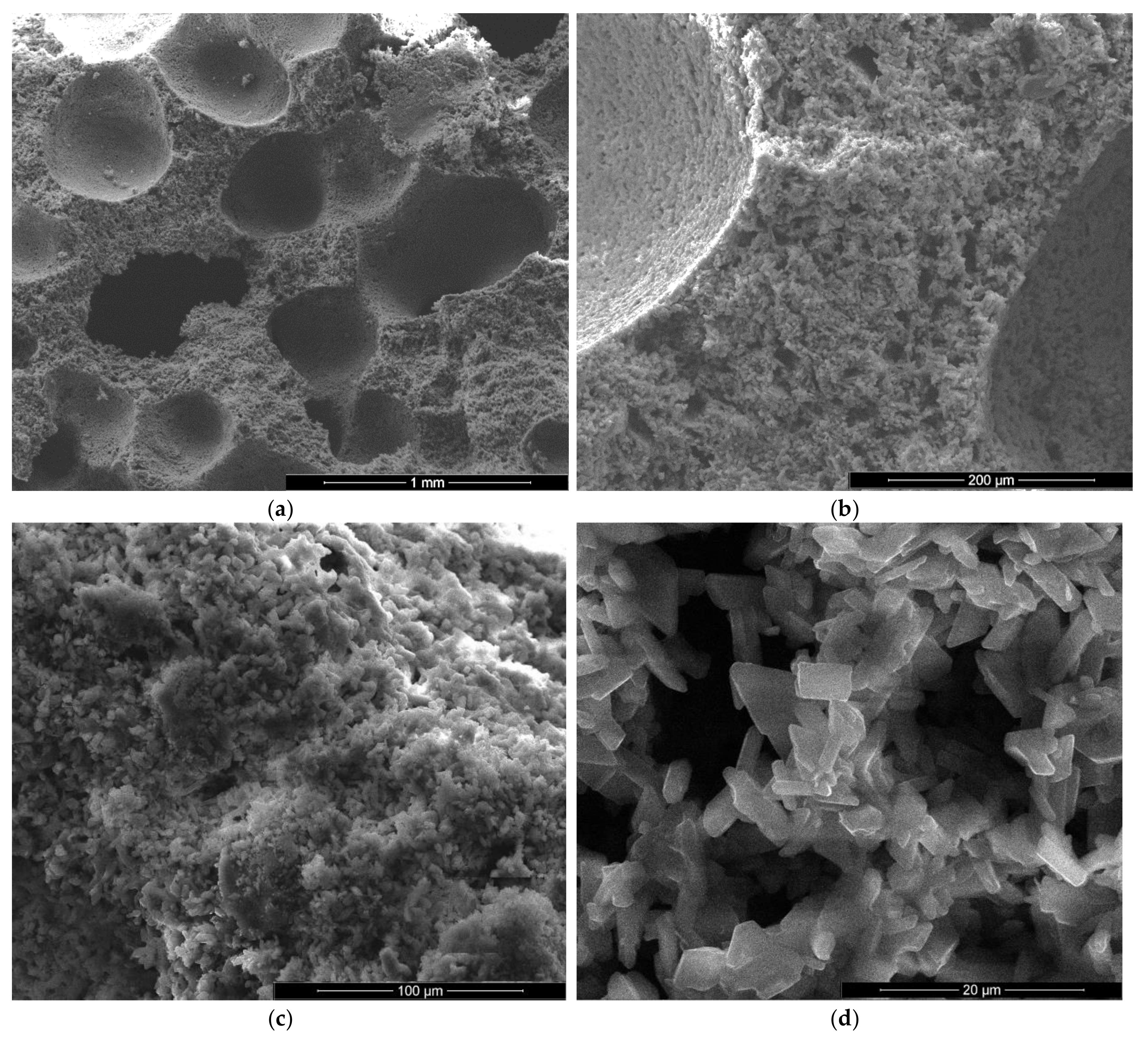 Materials 13 05454 g007