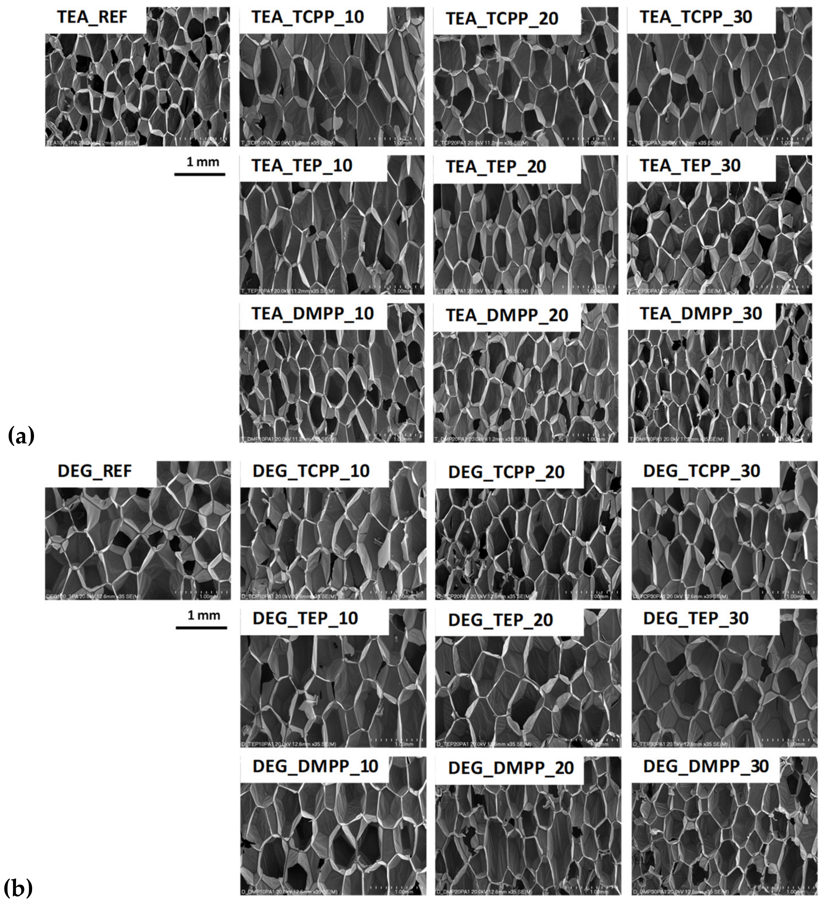 Materials 13 05459 g002