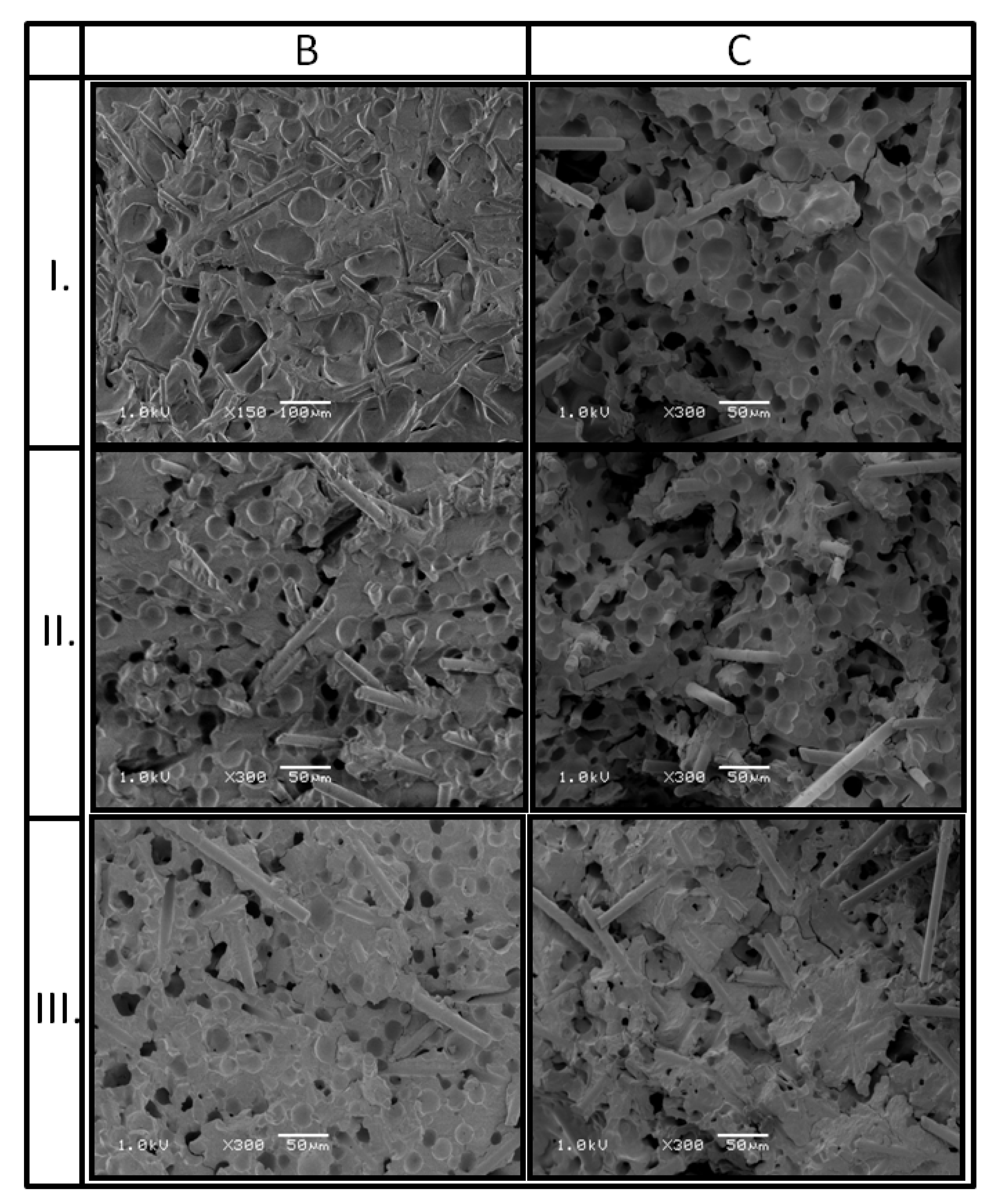 Materials 13 05464 g009