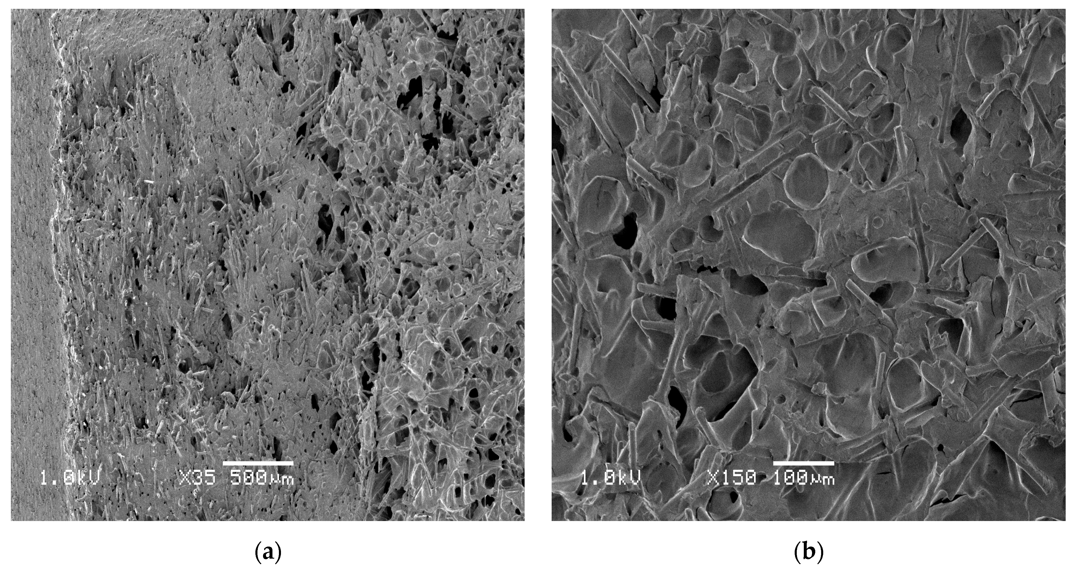 Materials 13 05464 g010