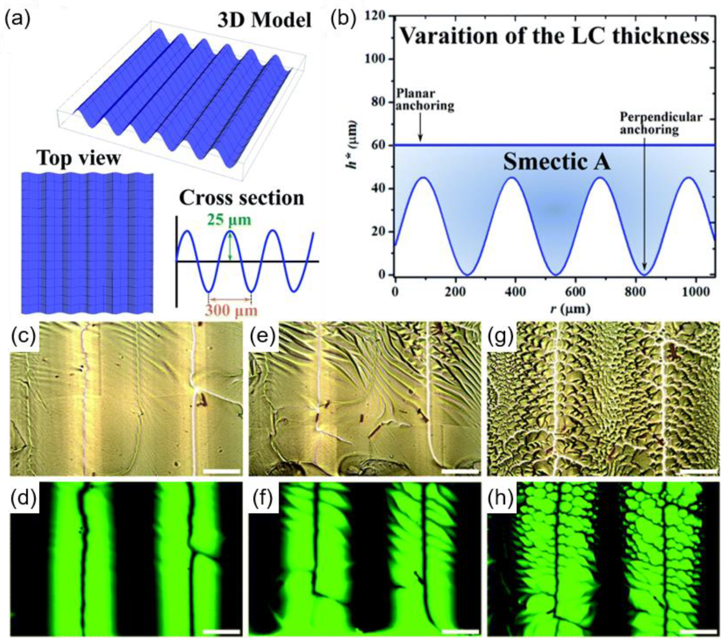 Materials 13 05466 g004