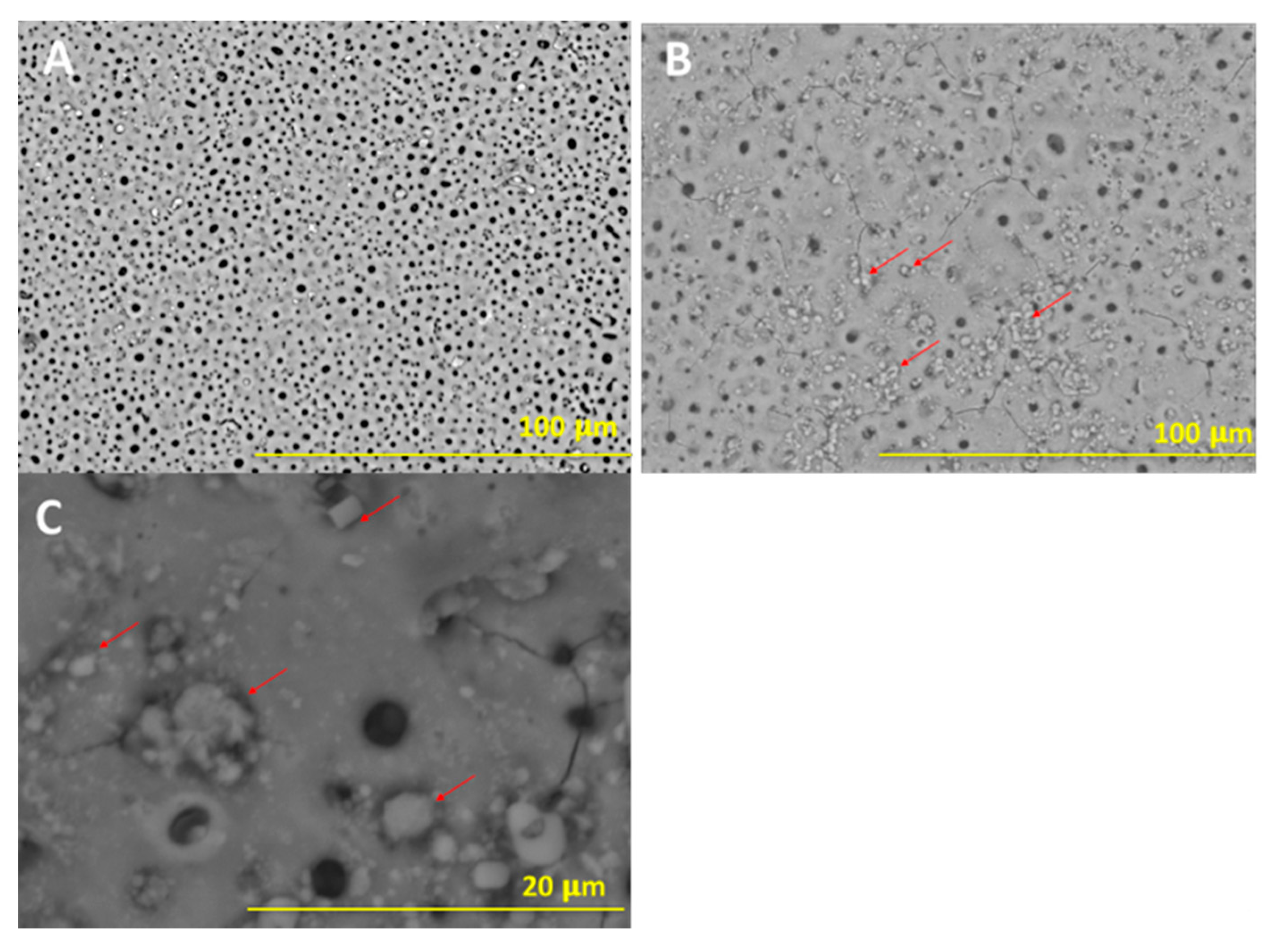 Materials 13 05468 g001 Materials 13 05468 g001
