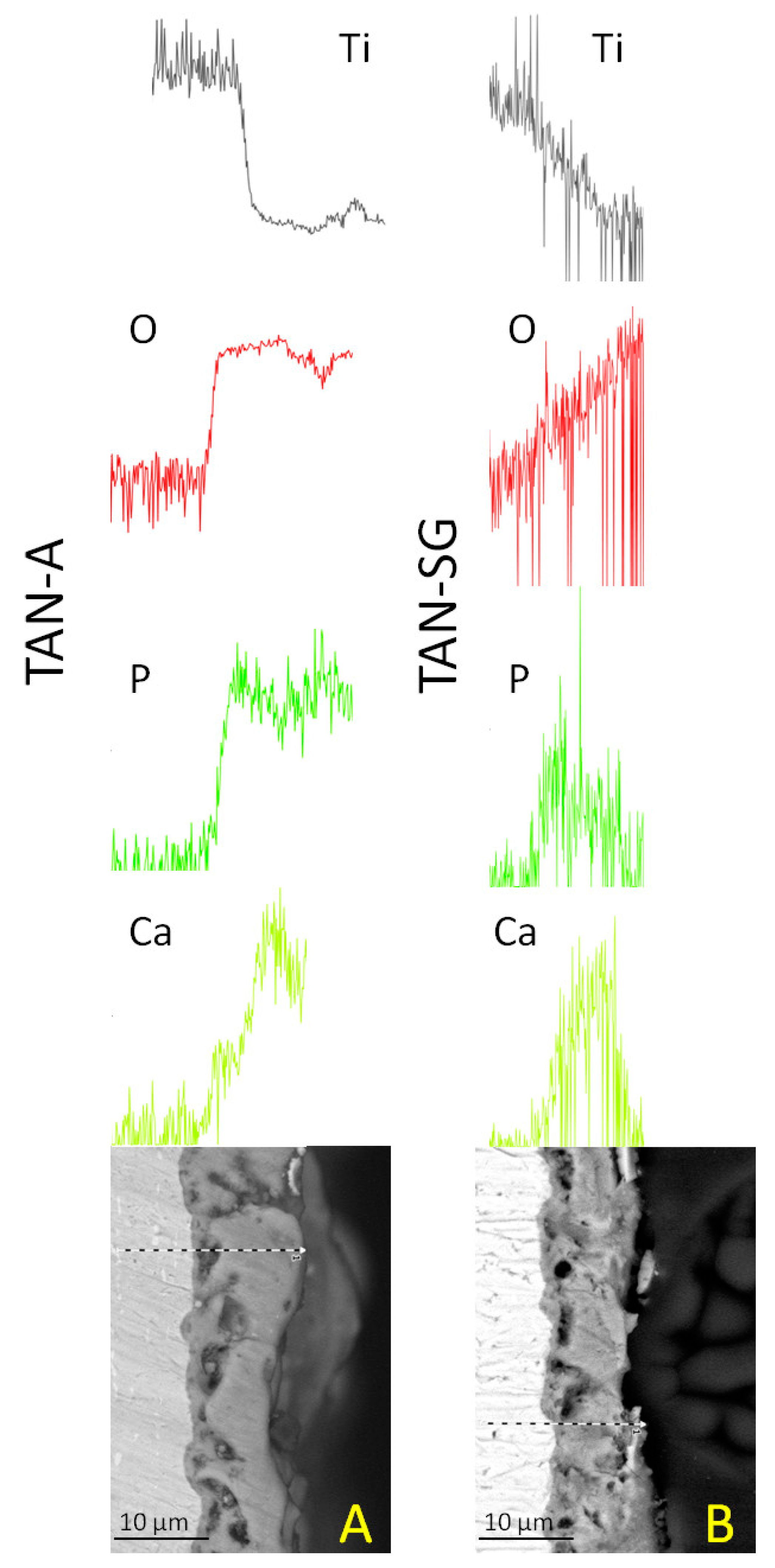 Materials 13 05468 g003 Materials 13 05468 g003