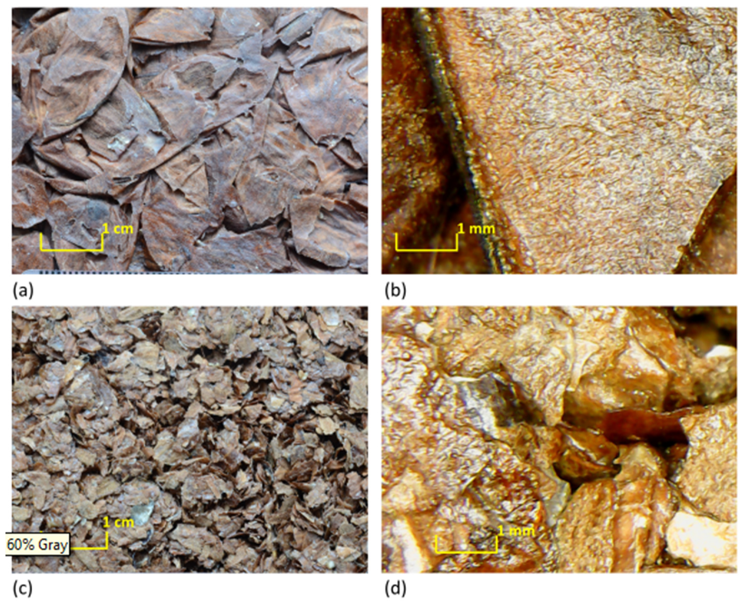 Materials 13 05474 g004