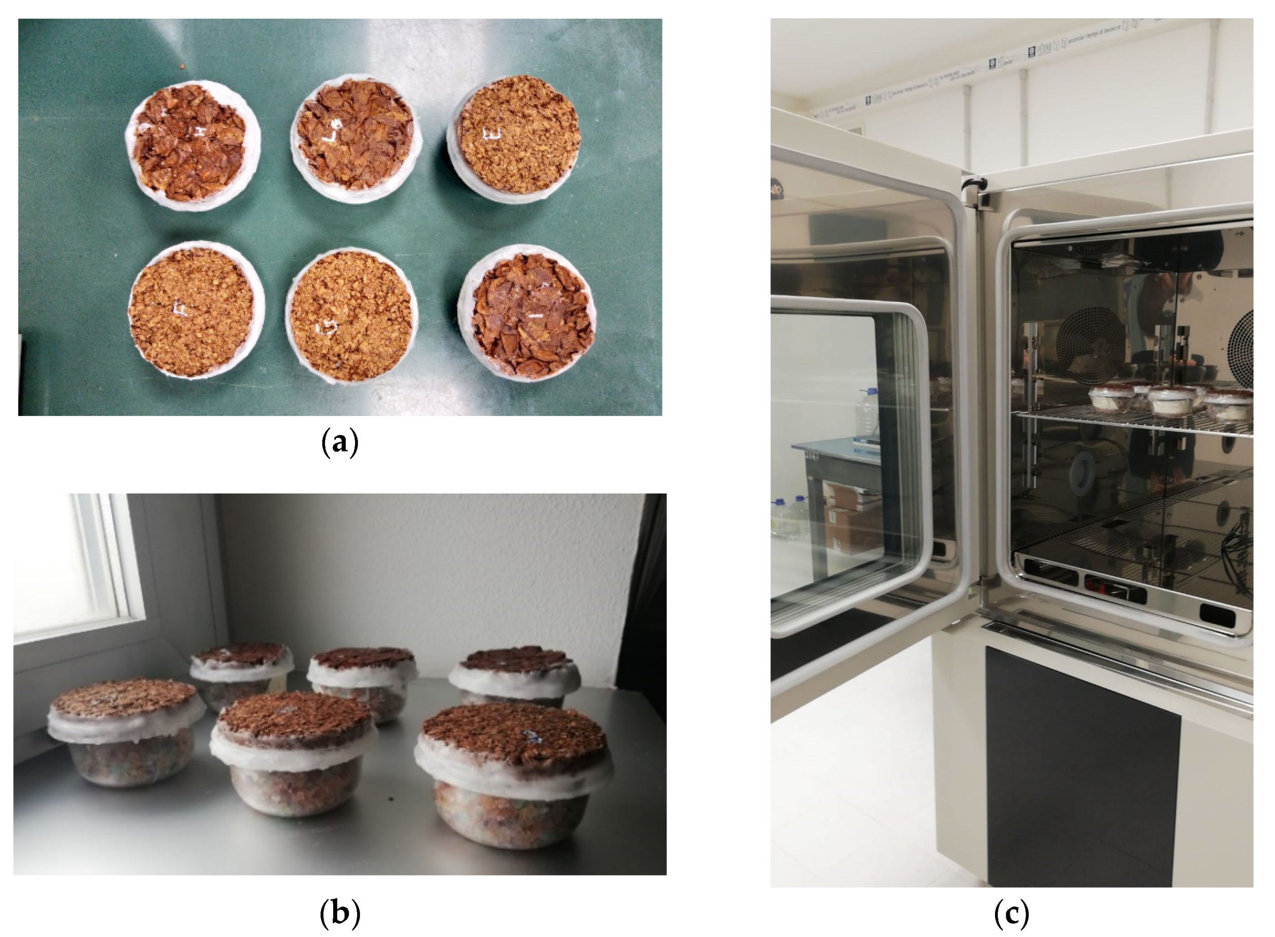 Materials 13 05474 g006