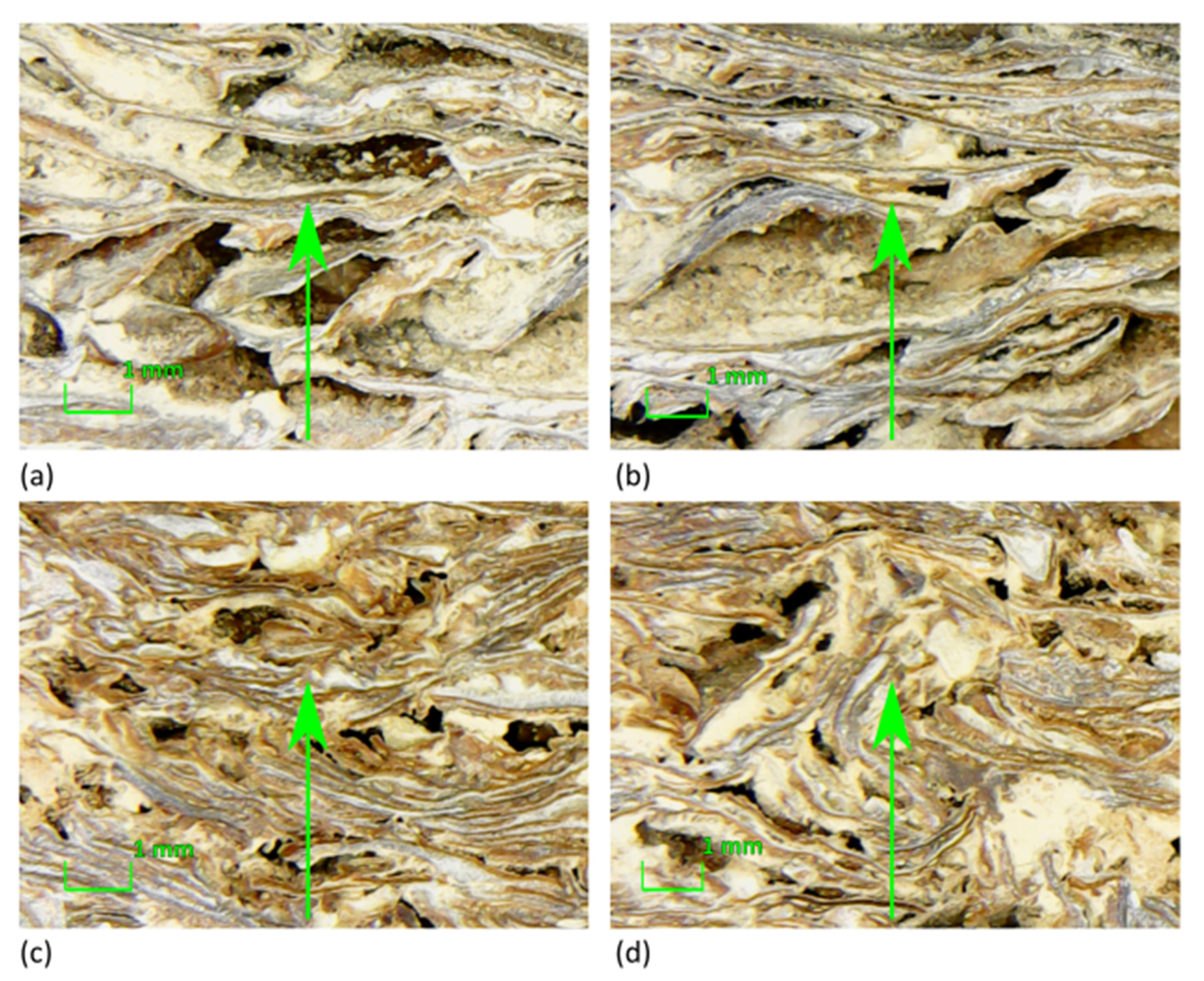 Materials 13 05474 g012