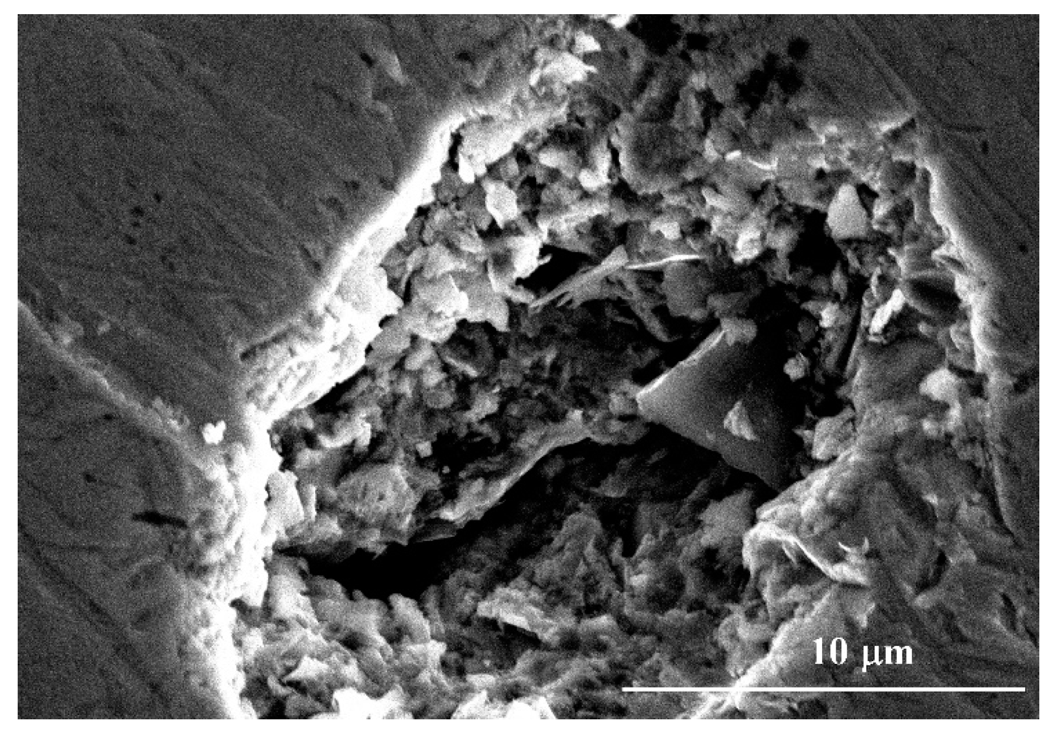 Materials 13 05478 g002