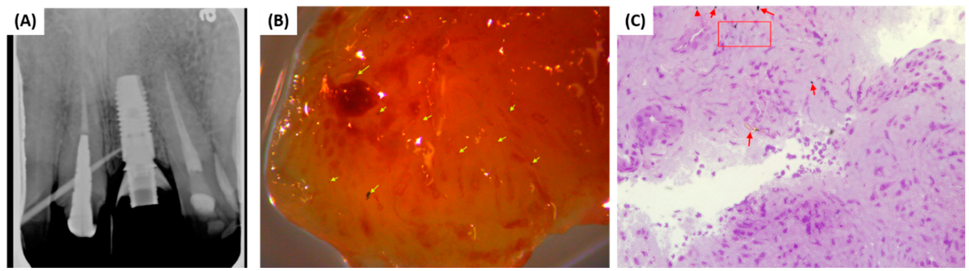 Materials 13 05488 g001