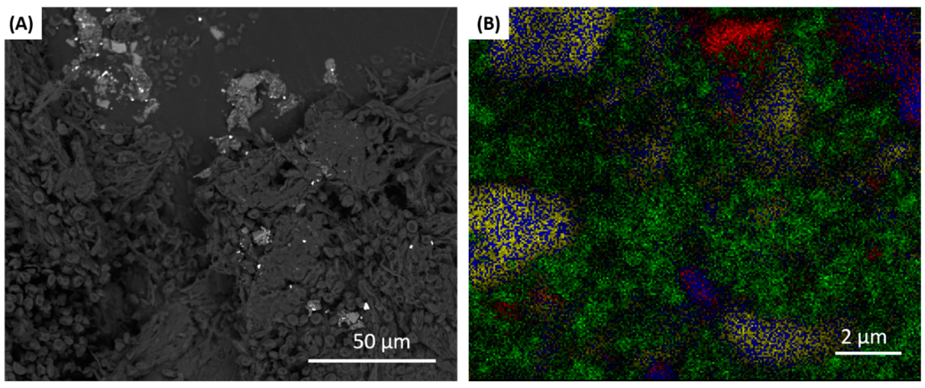 Materials 13 05488 g002